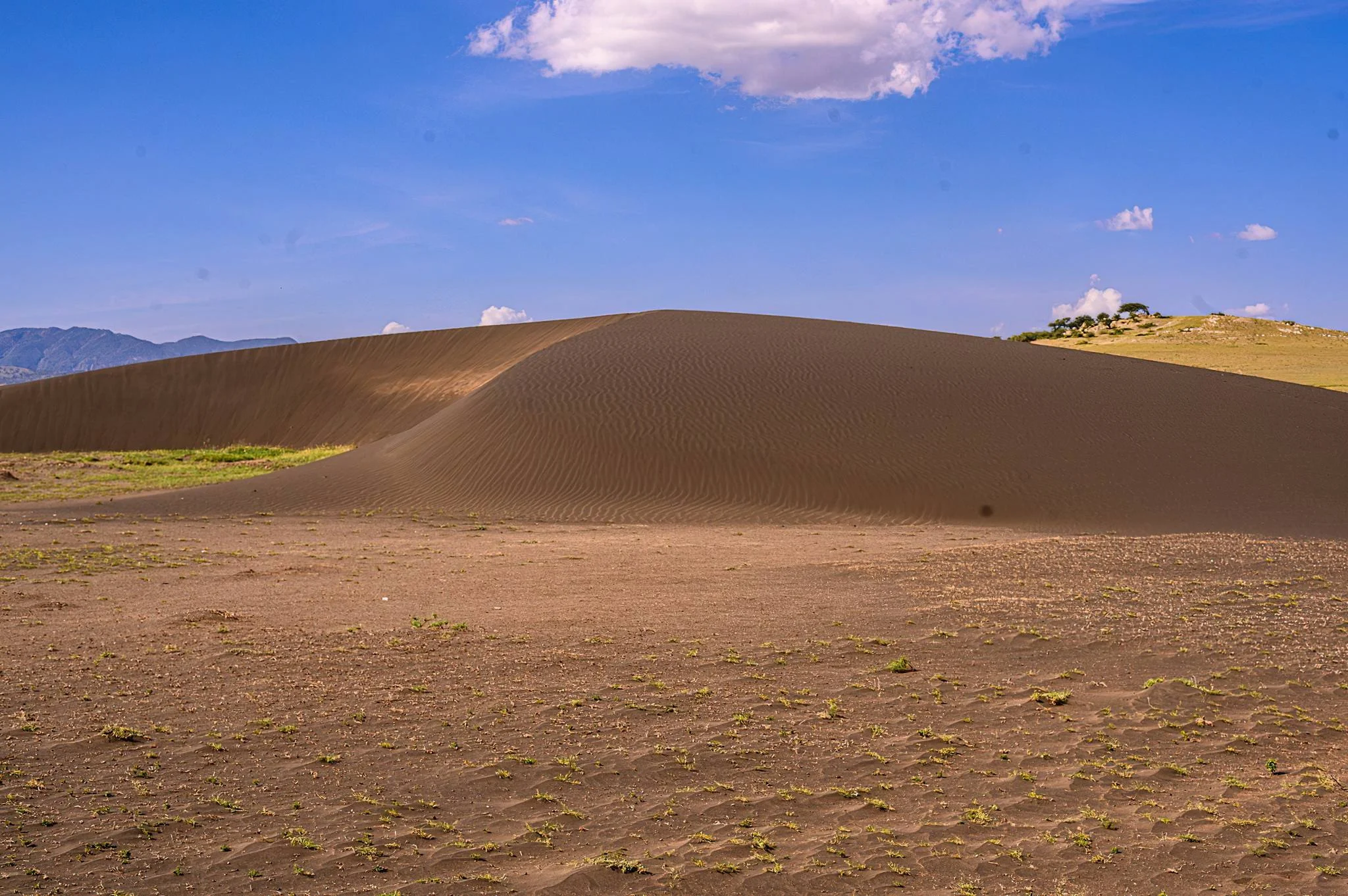 Shifting Sands – photo 11