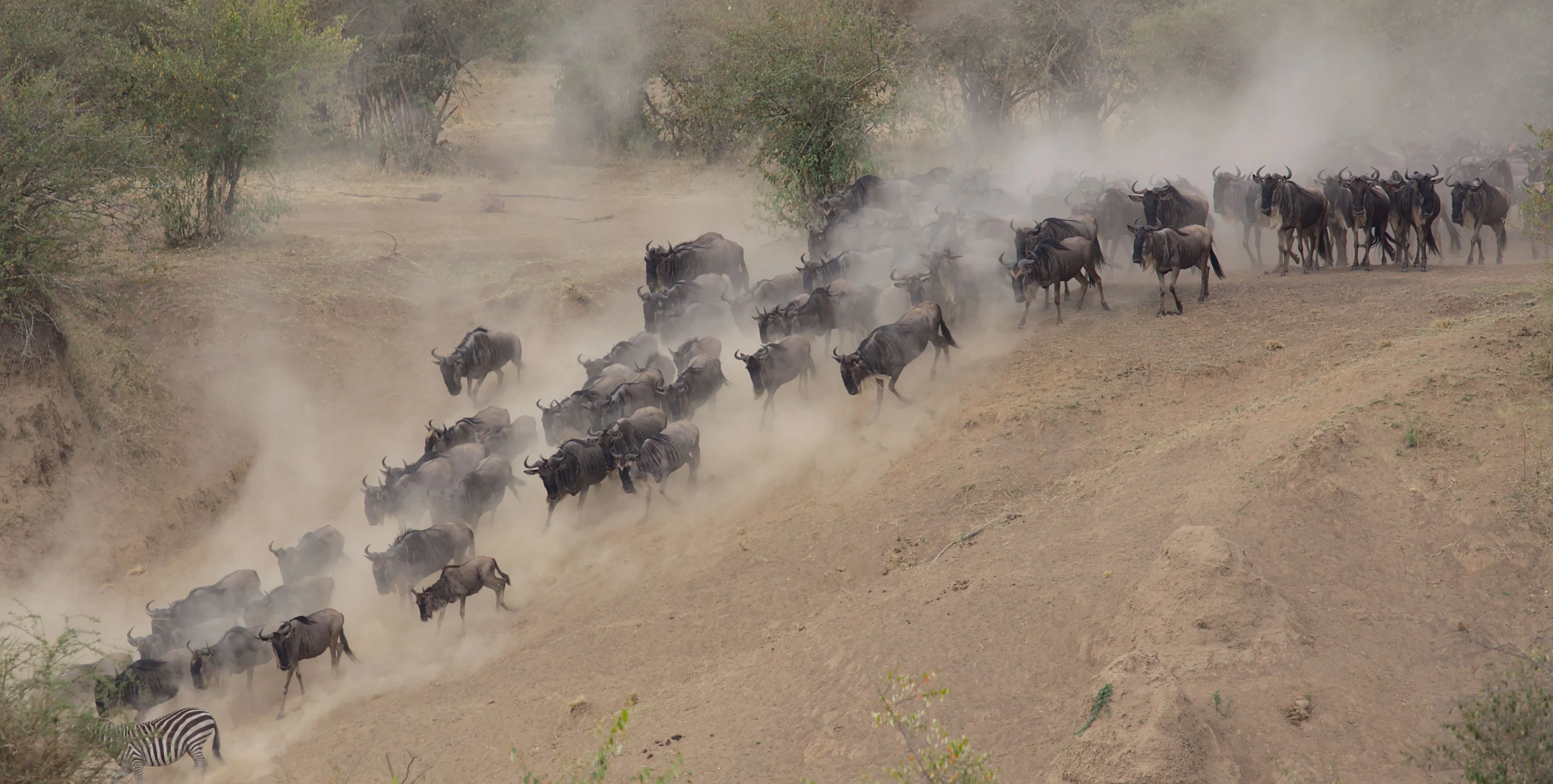 North Serengeti