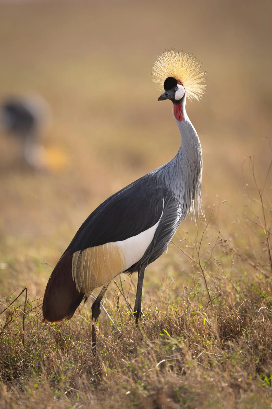 Serengeti National Park