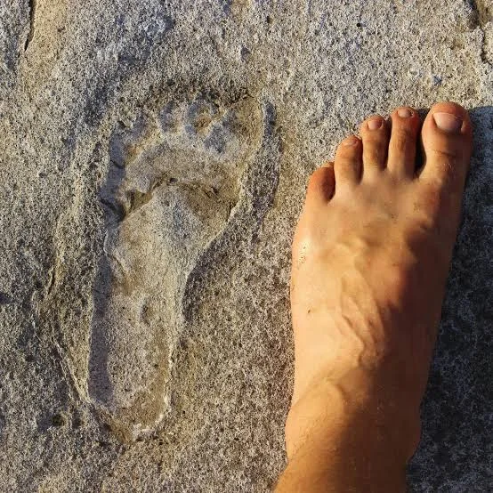 A bare modern human foot placed next to an ancient fossilized hominid footprint at Engaresero, Tanzania.