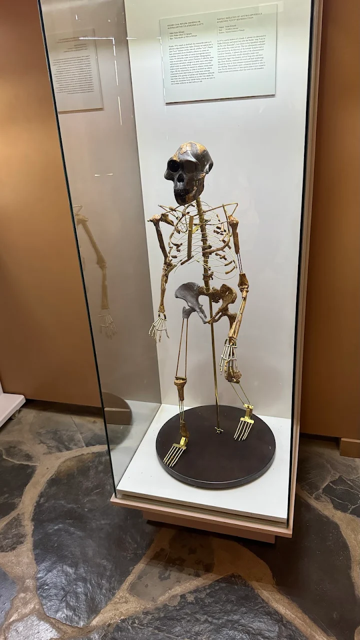Olduvai Gorge