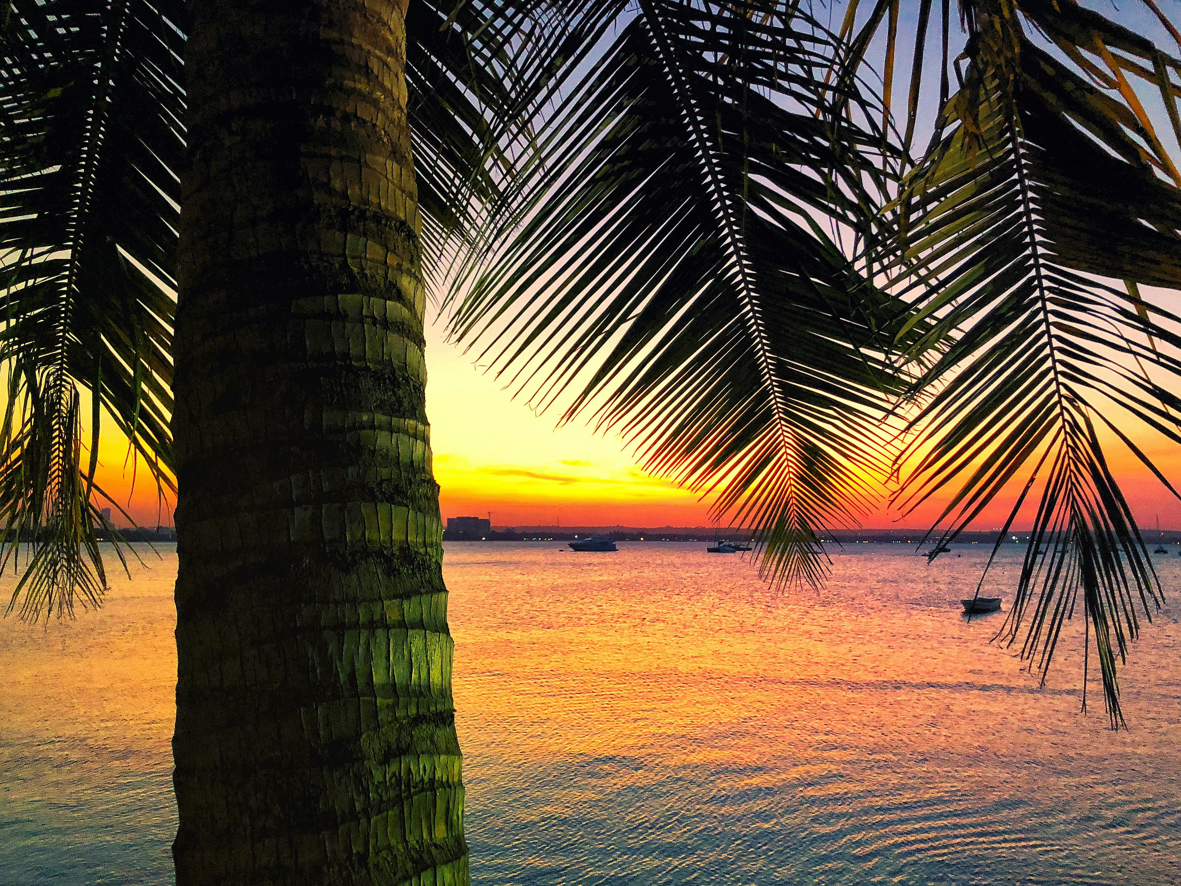 Dar es Salaam – photo 27