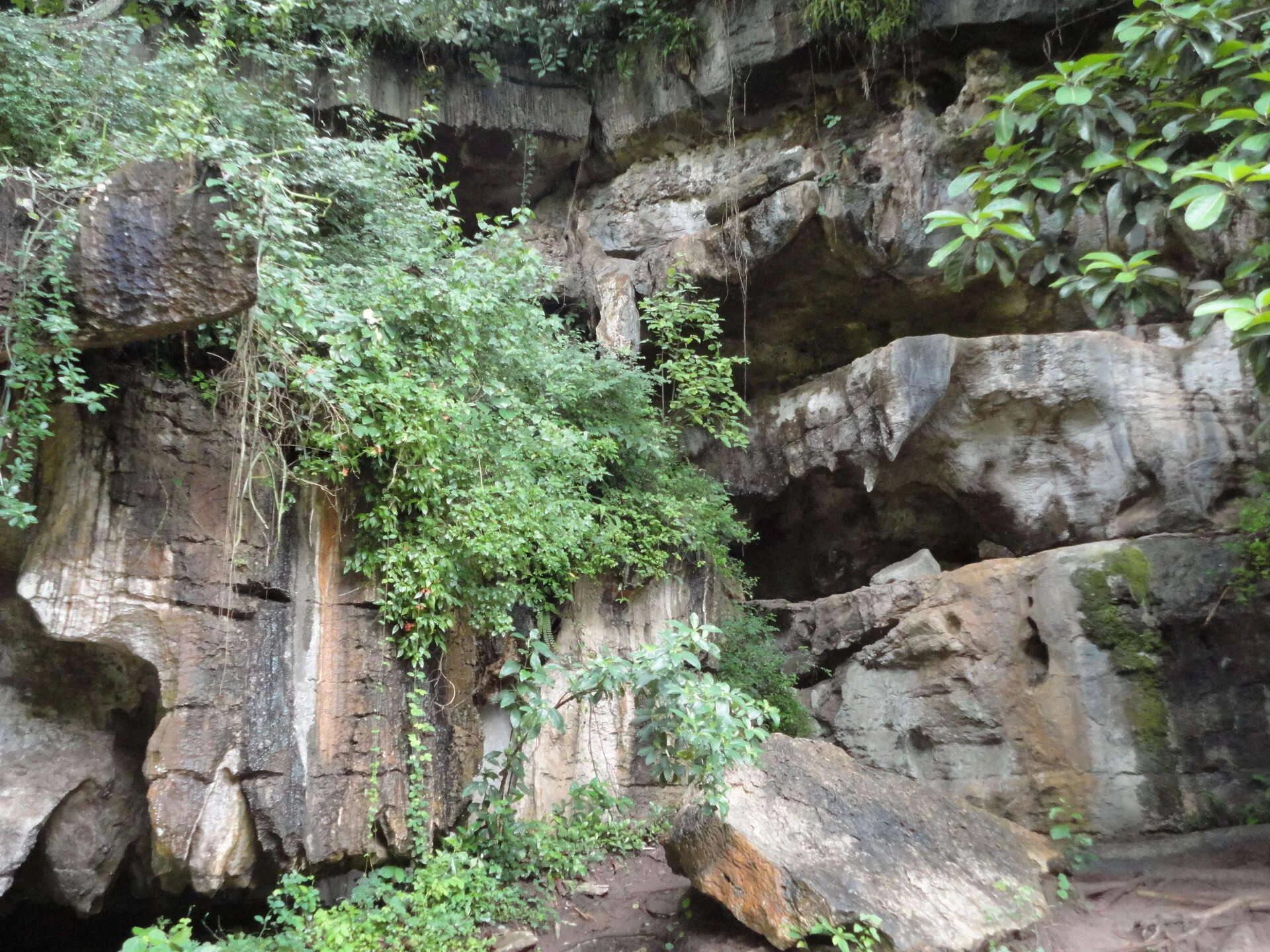 Amboni Caves – photo 18