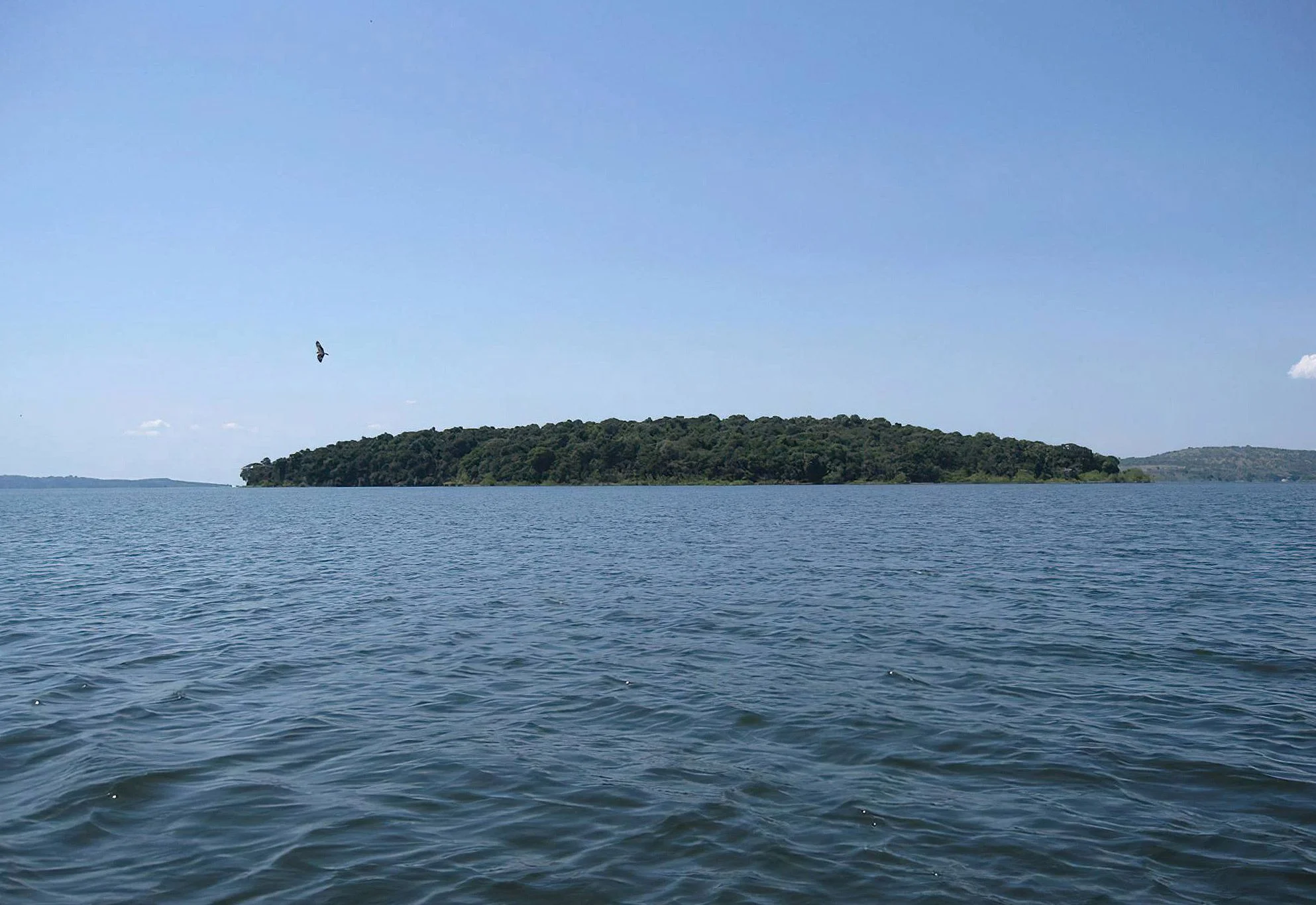 Rubondo Island National Park – photo 8