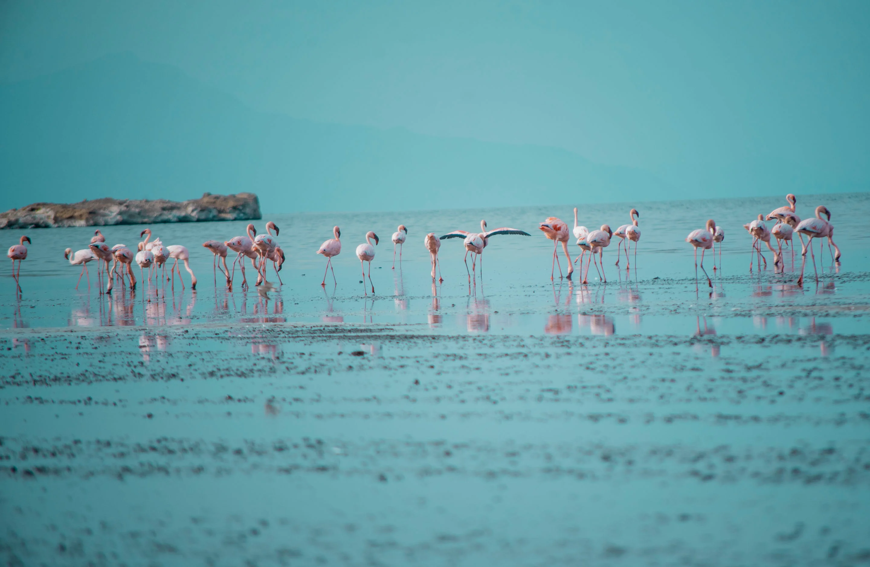 Lake Natron – photo 4