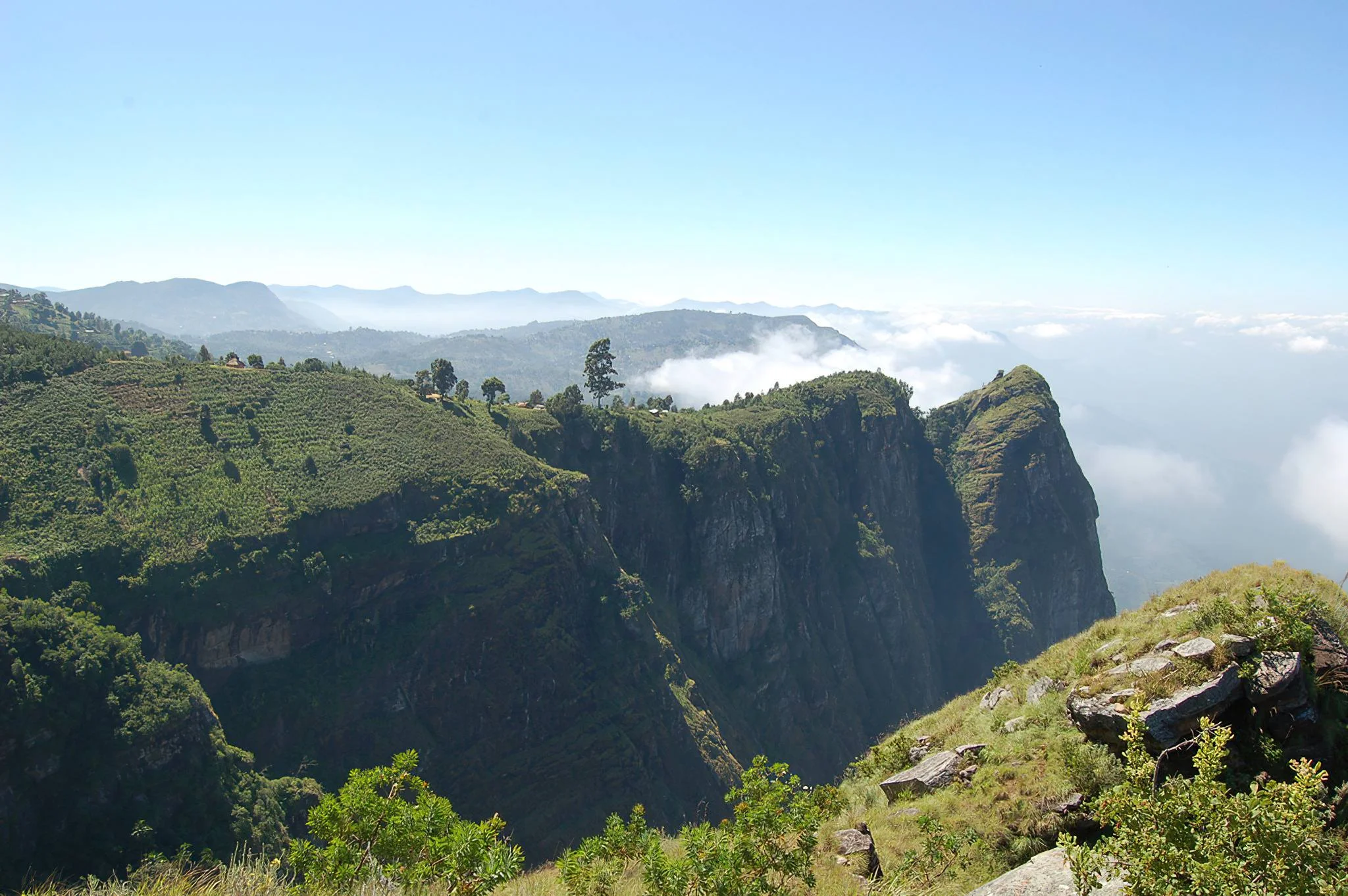 Usambara Mountains – photo 30