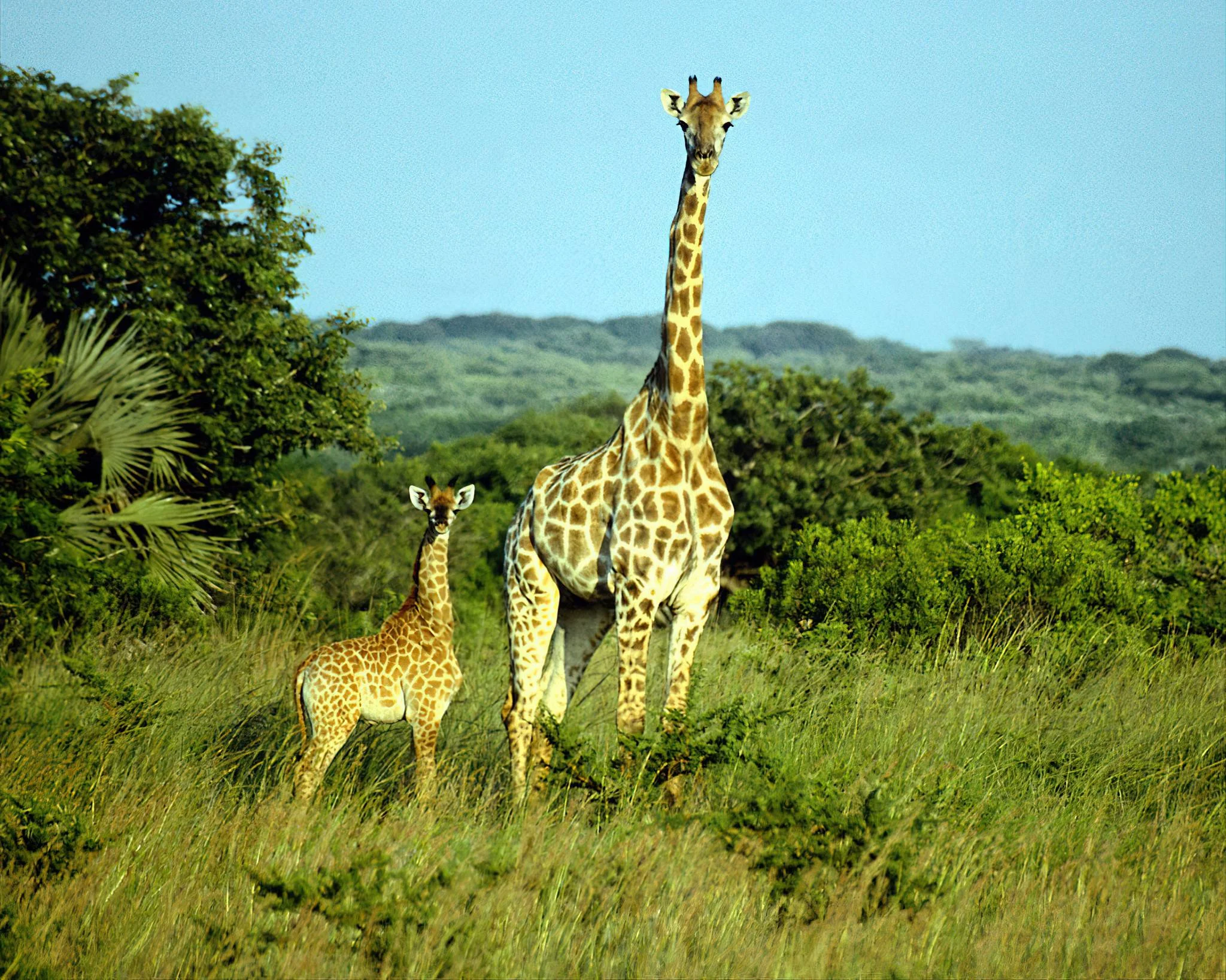 Ibanda-Kyerwa National Park – photo 9