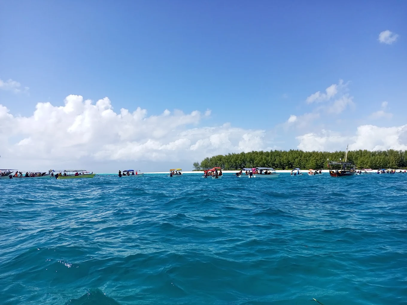 Mnemba Island Conservation Area – photo 11
