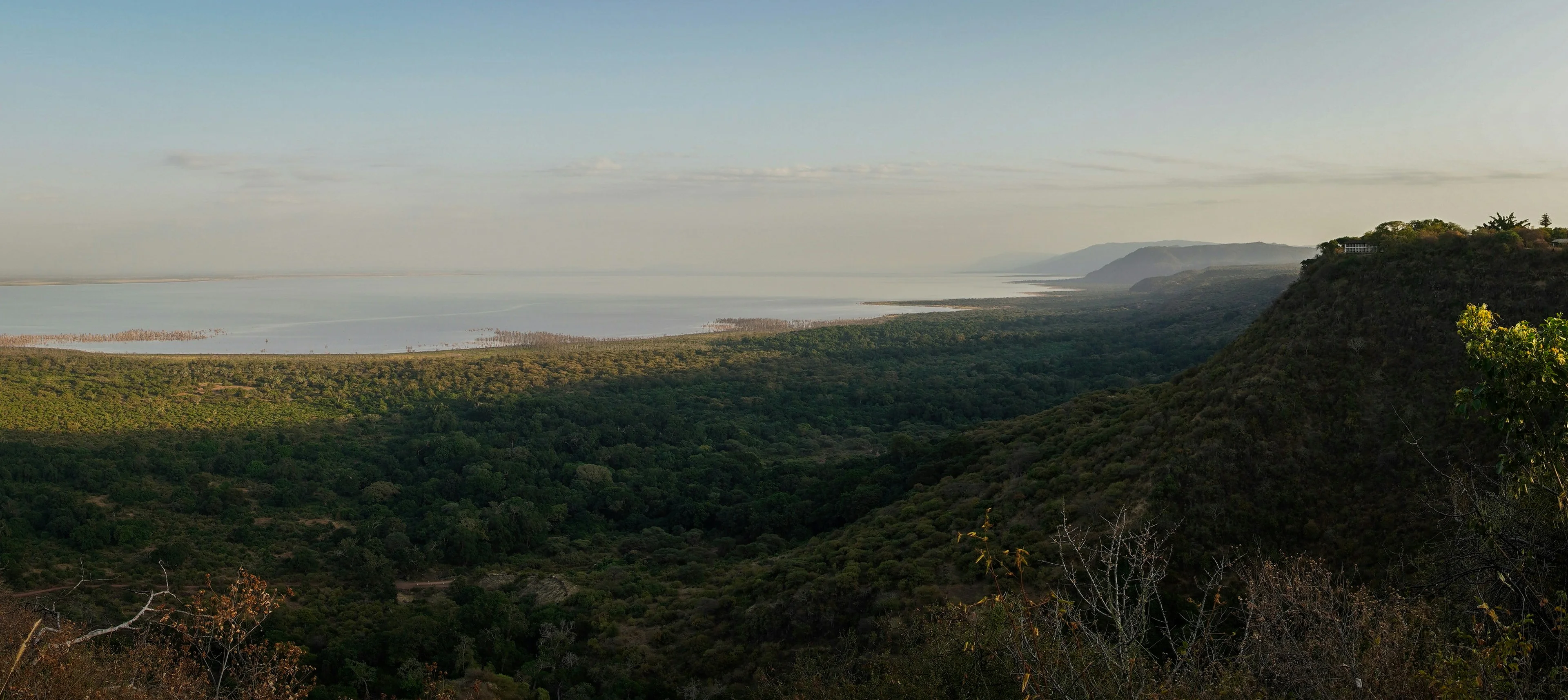 Lake Manyara National Park