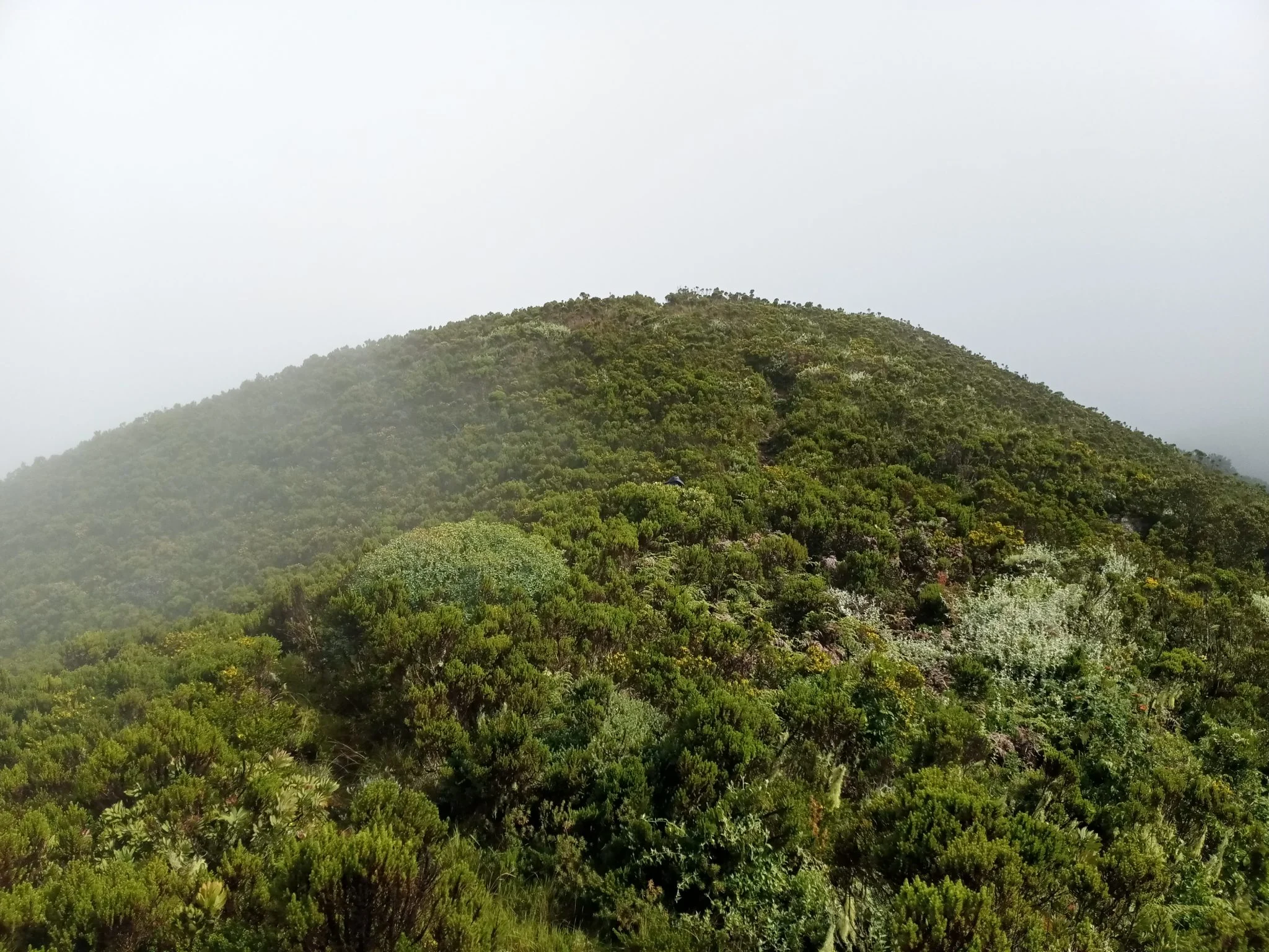 Mount Hanang – photo 18