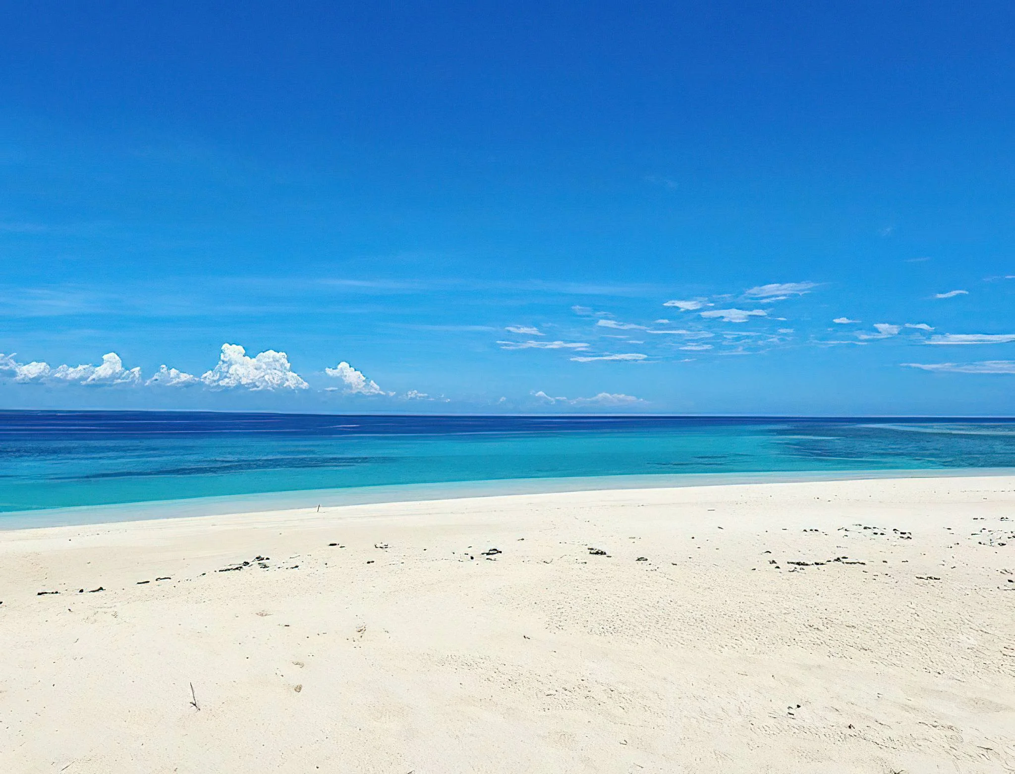 Tanga Marine Park & Reserves – photo 14