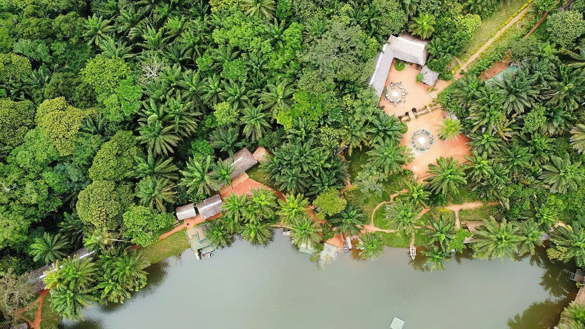 Aerial view of estate buildings nestled among palm trees and lush forest trails.