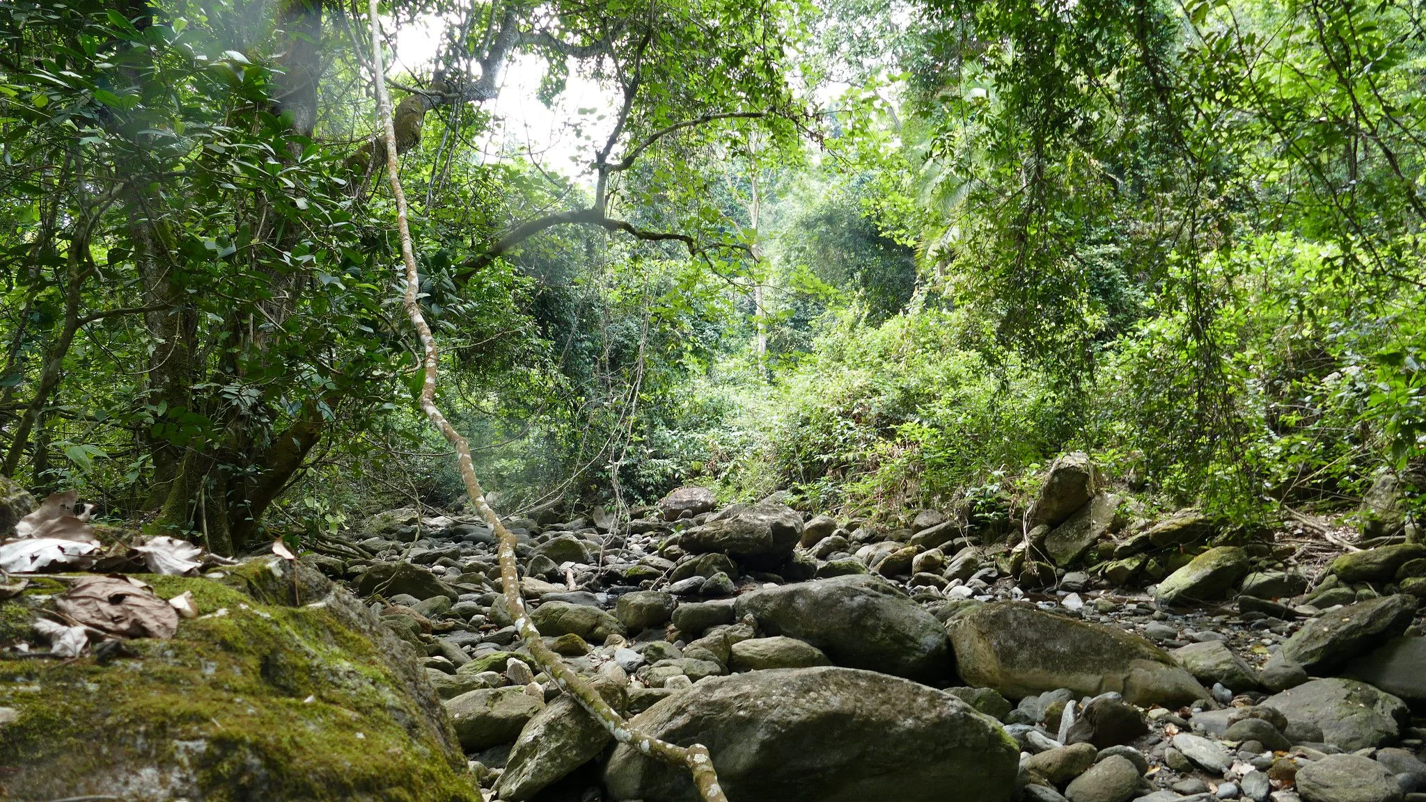 Mahale Mountains National Park – photo 23