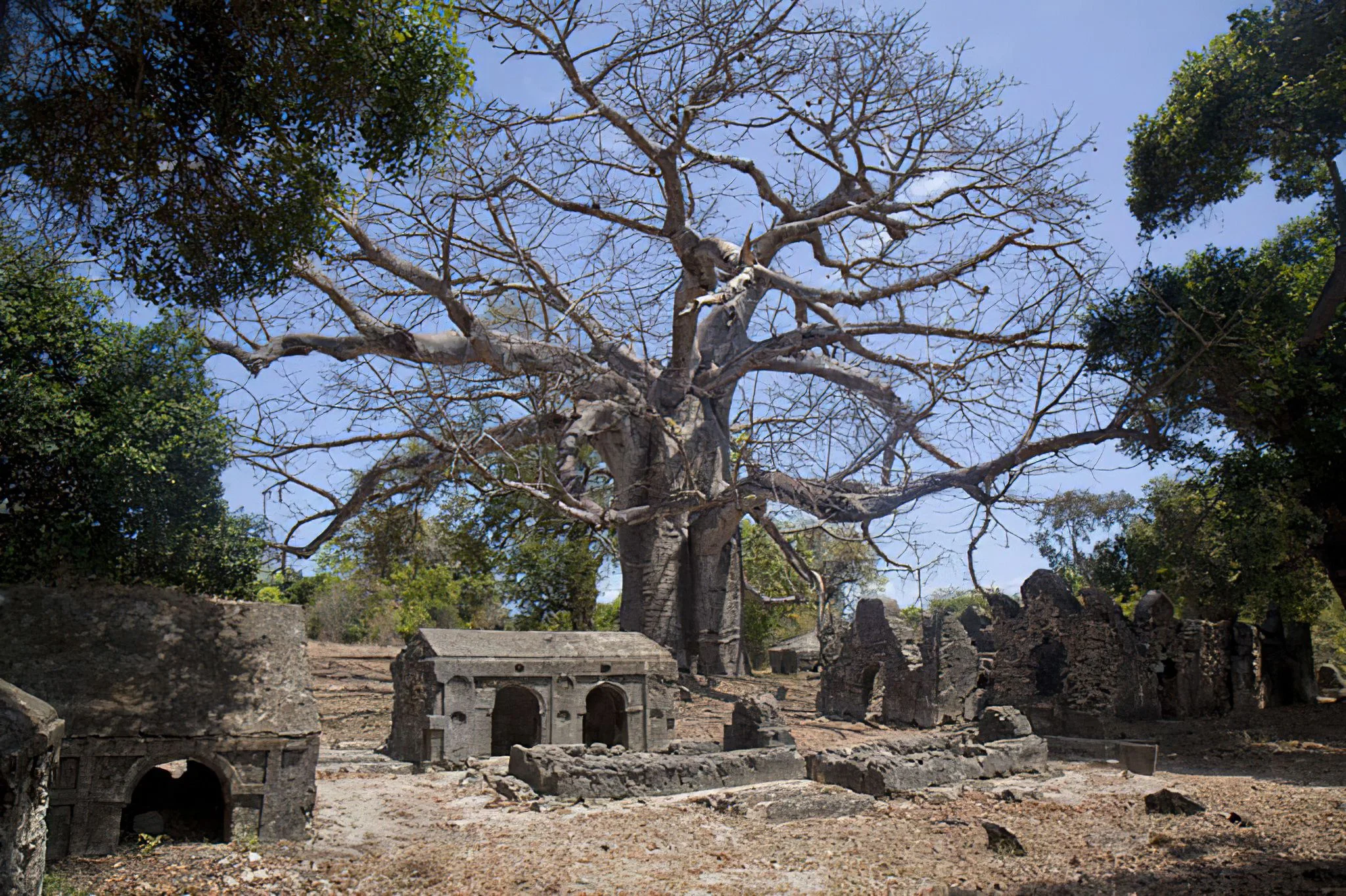 Kunduchi Ruins – photo 15