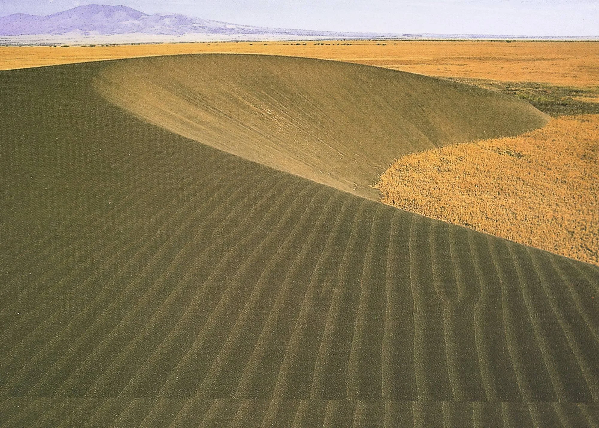 Shifting Sands – photo 17