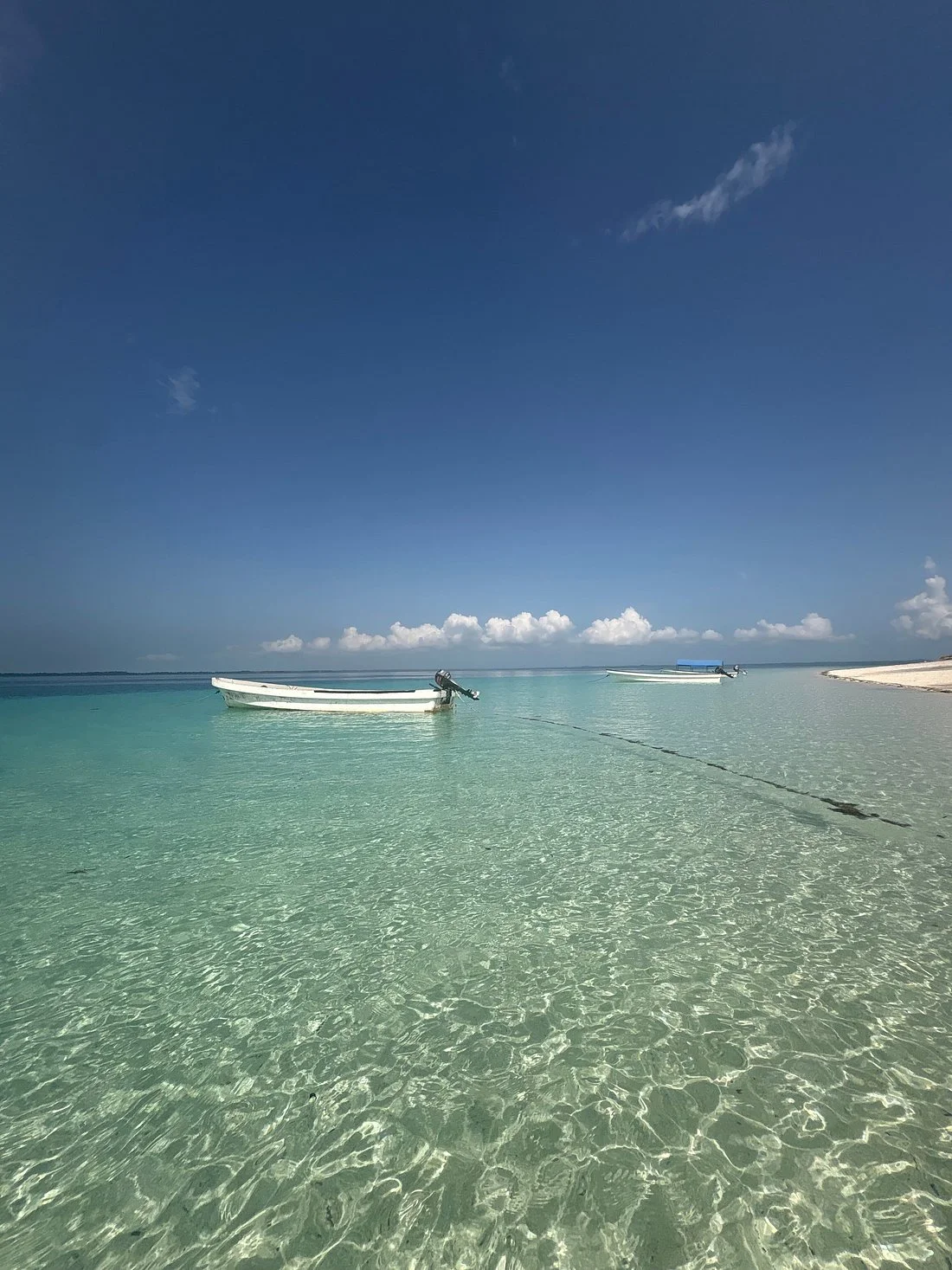 Pemba Island – photo 11