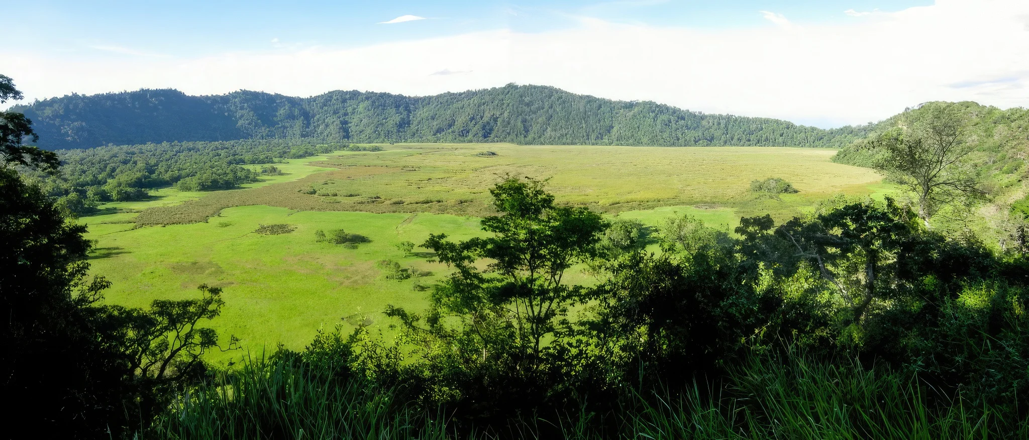 Ngurdoto Crater – photo 11