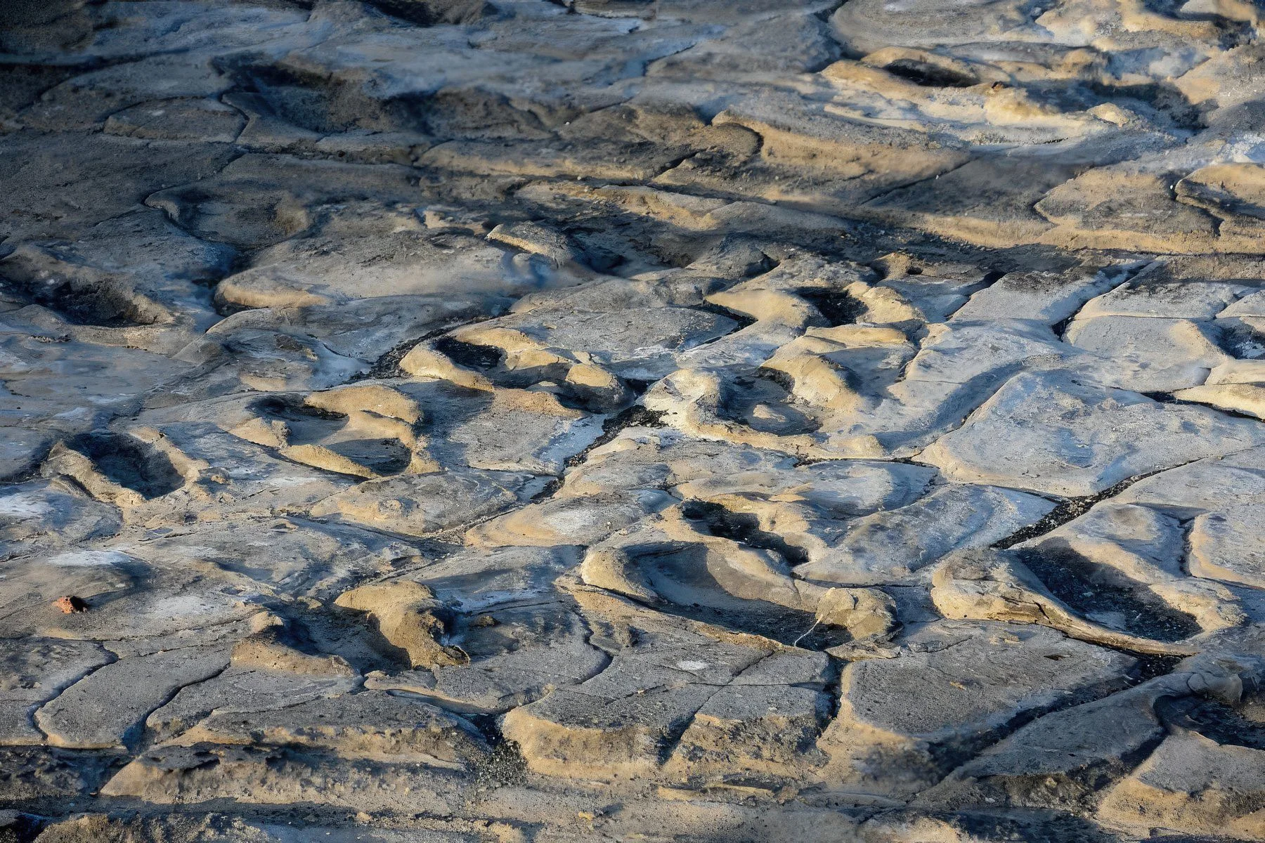 Detailed view of ancient footprint impressions made in mud sediment at Engaresero Footprints Site, Tanzania.