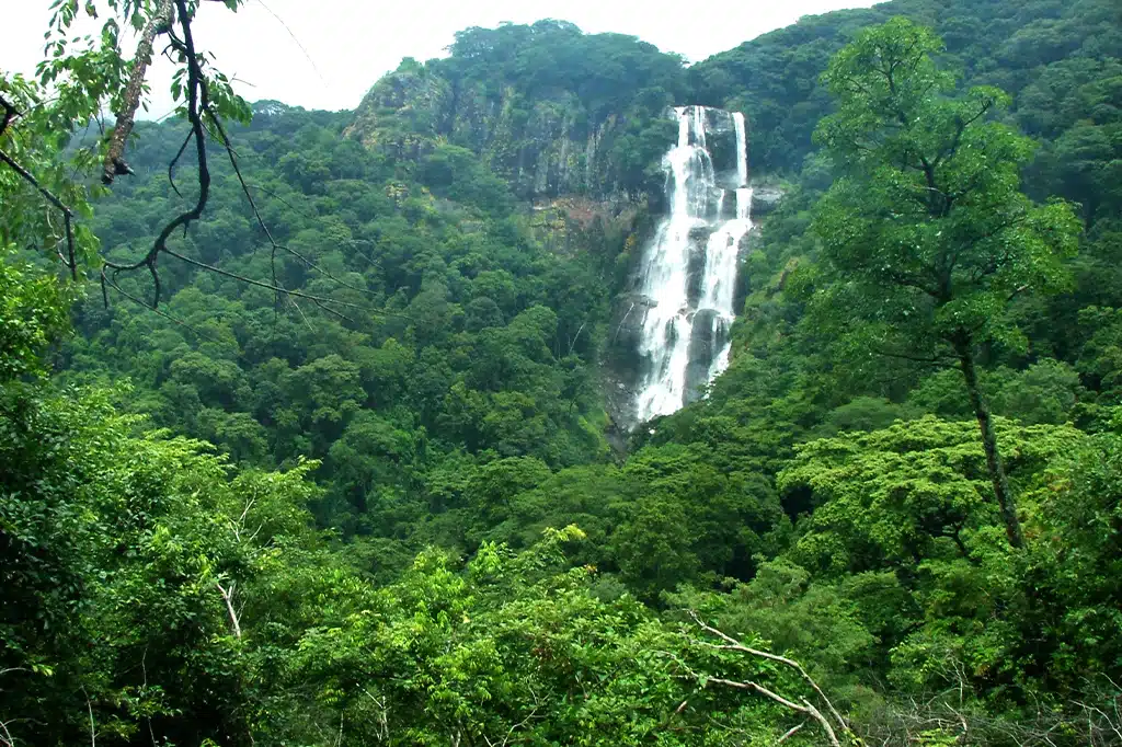 Udzungwa Mountains National Park – photo 5