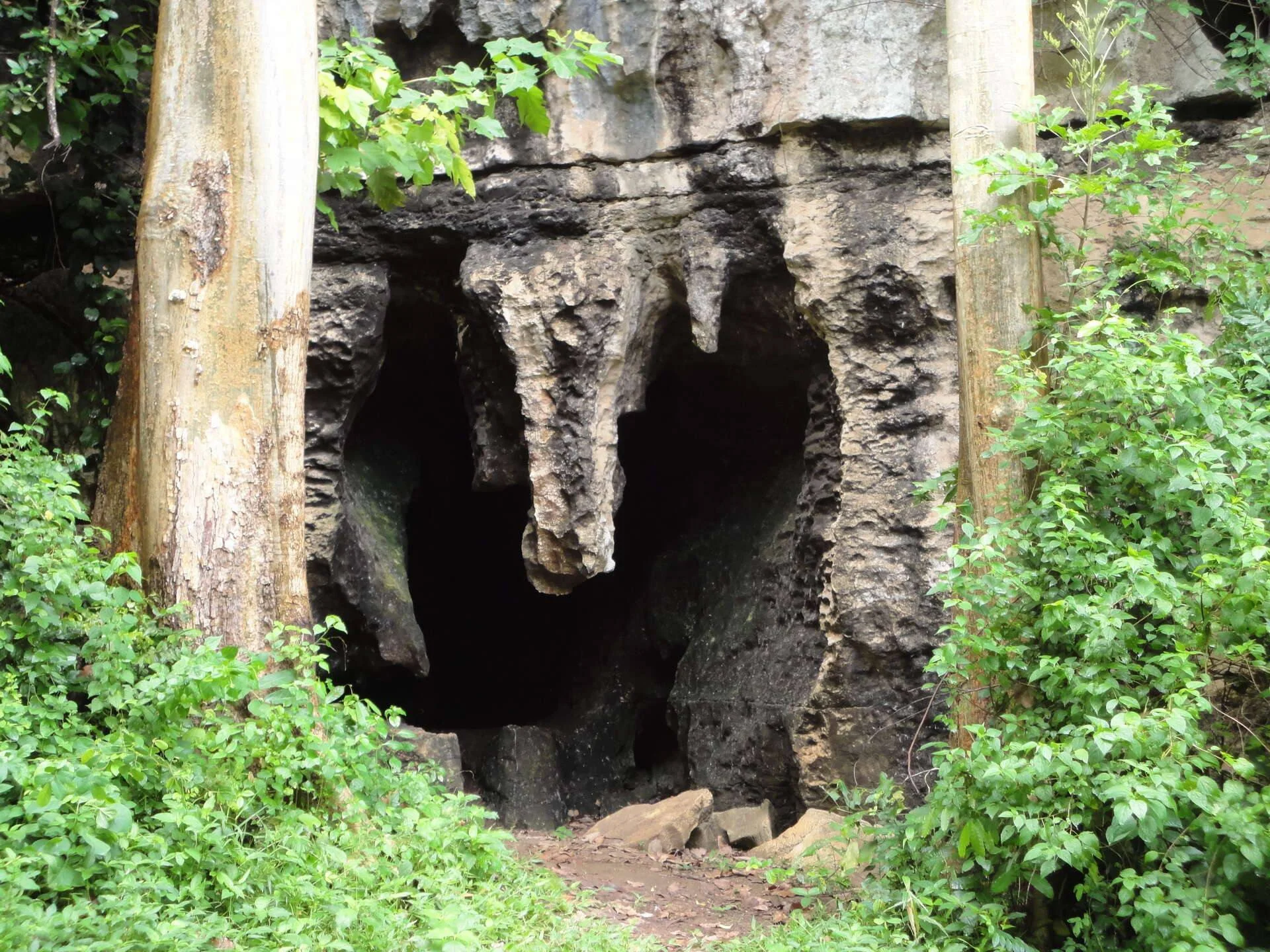 Amboni Caves – photo 38
