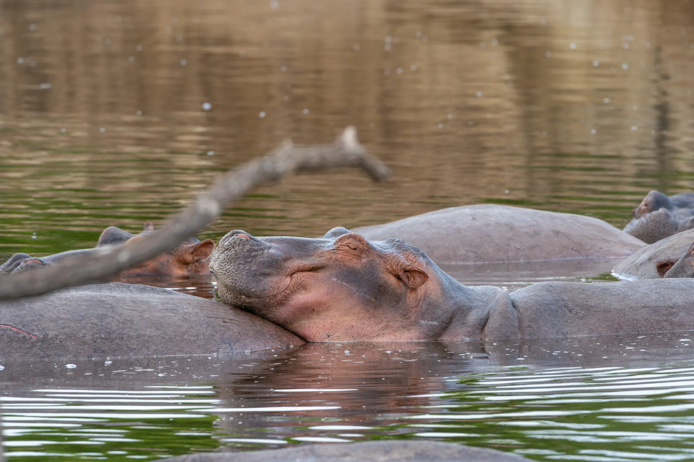 Lake Burunge – photo 9
