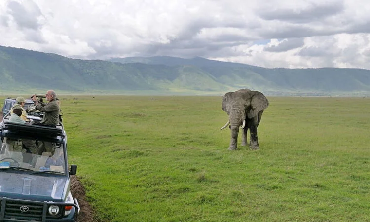Ibanda-Kyerwa National Park – photo 4