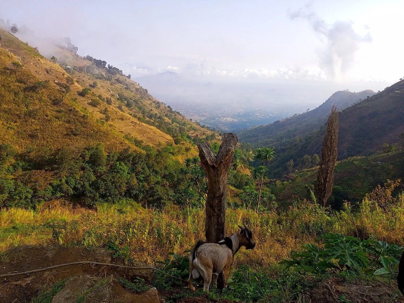 Uluguru Mountains – photo 13