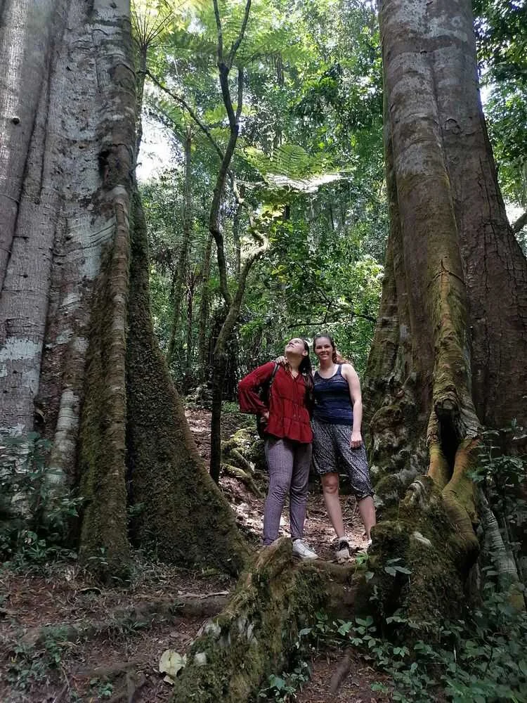 Amani Nature Forest Reserves – photo 7