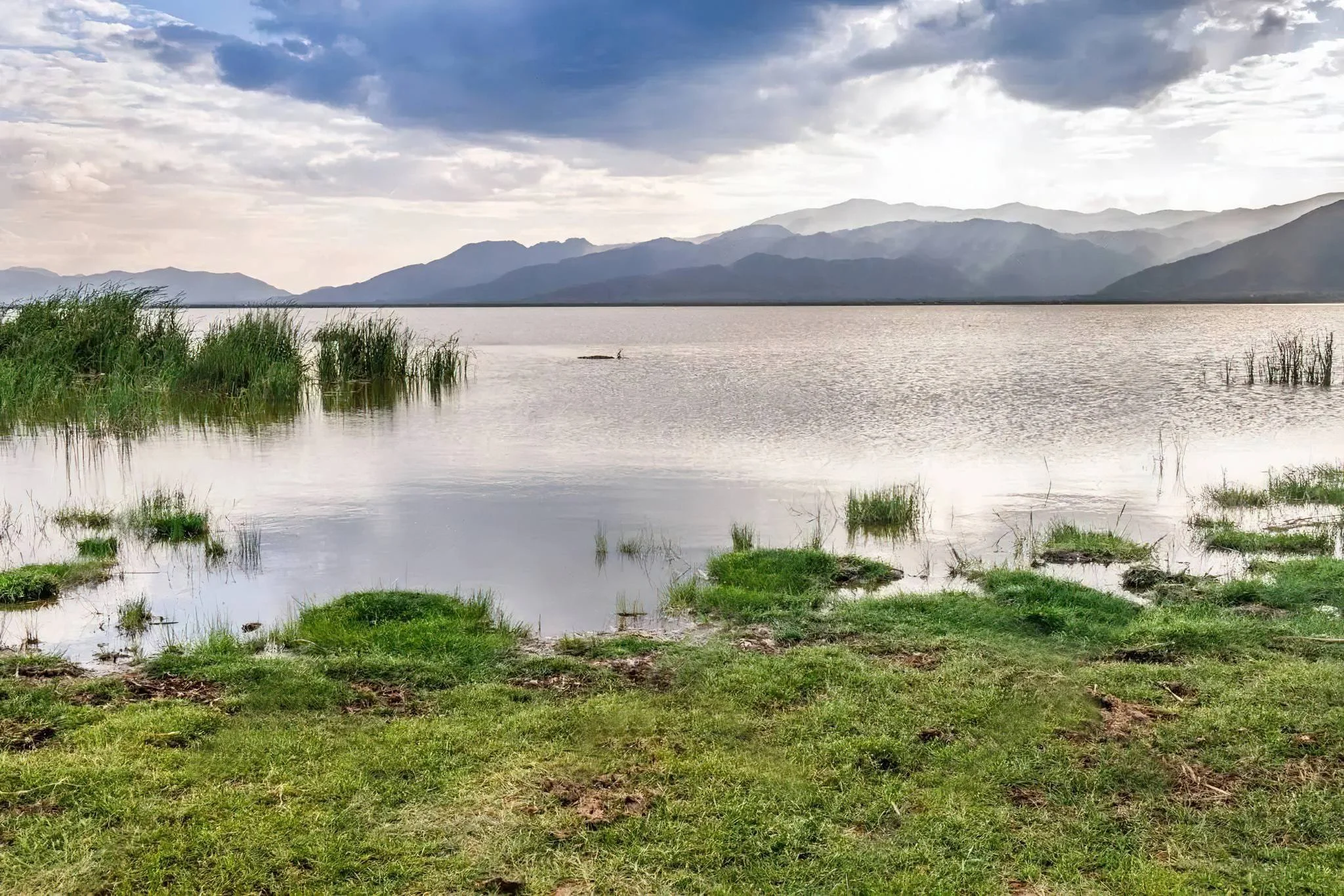 Lake Jipe – photo 15