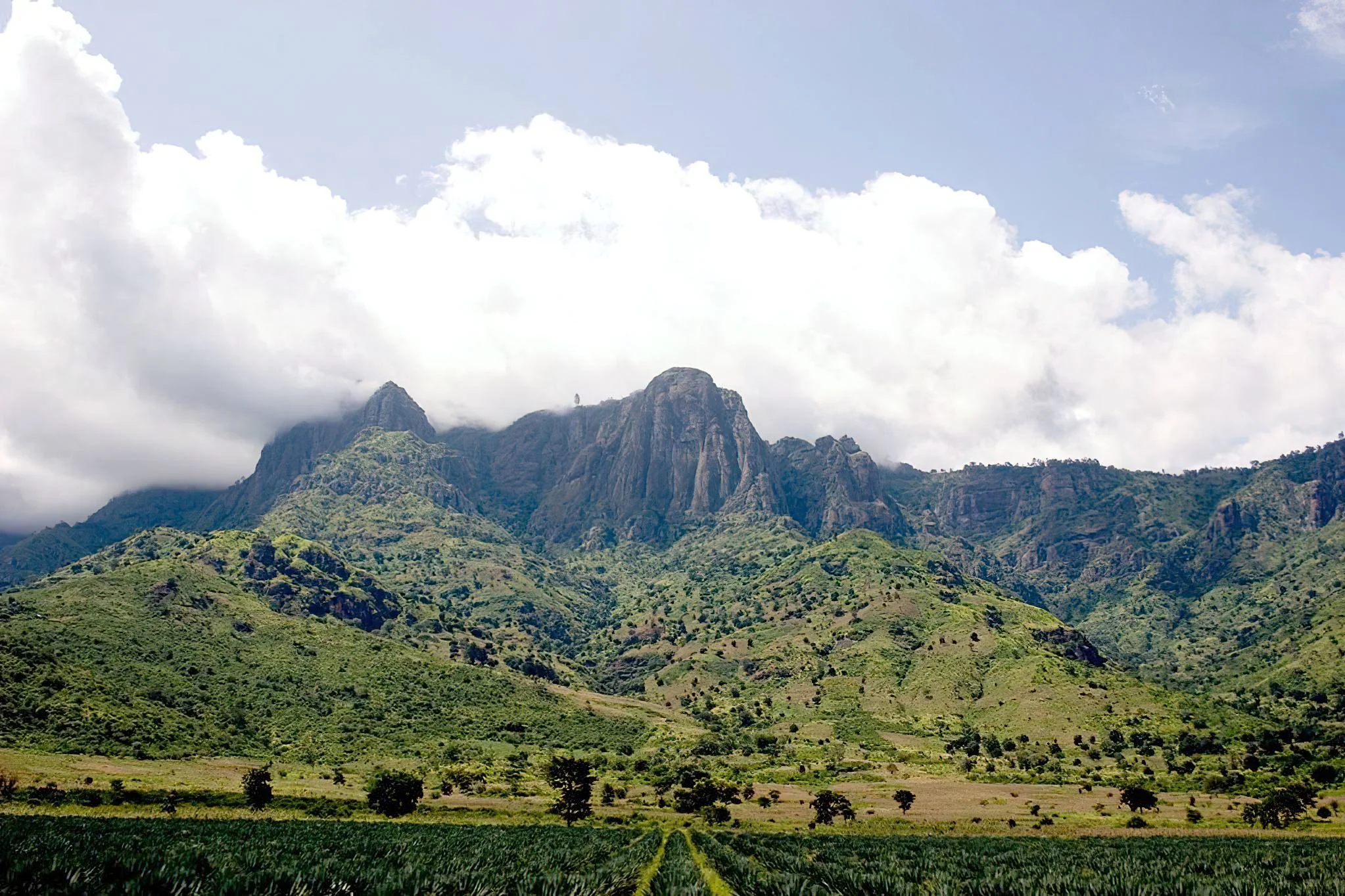 Usambara Mountains – photo 35