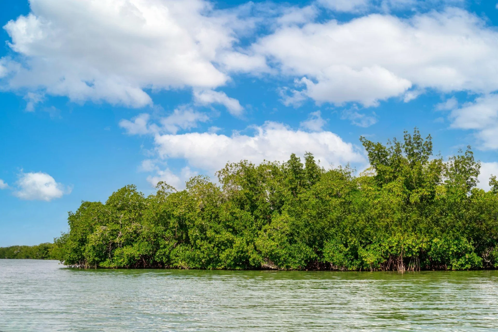 Kirui Island Marine Reserve