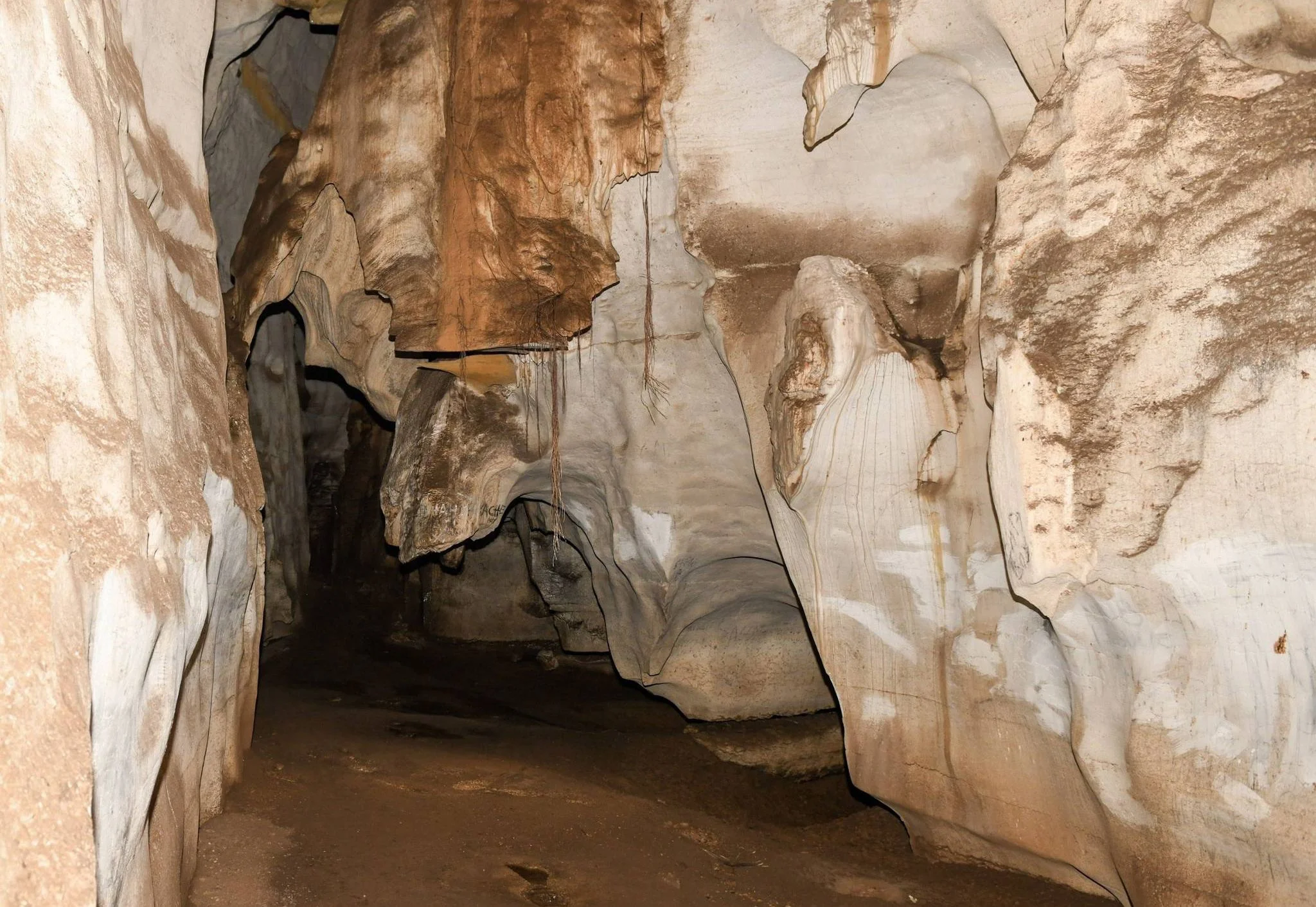 Amboni Caves – photo 20