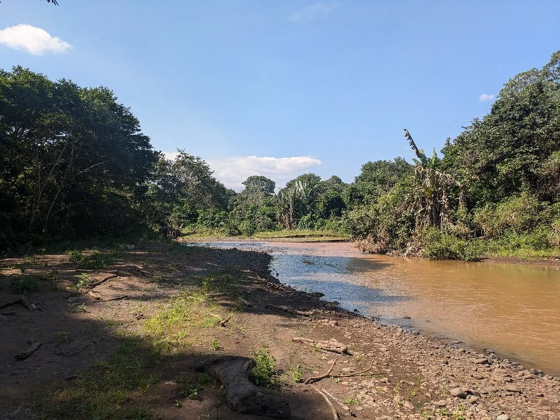 Rau Nature Forest Reserve