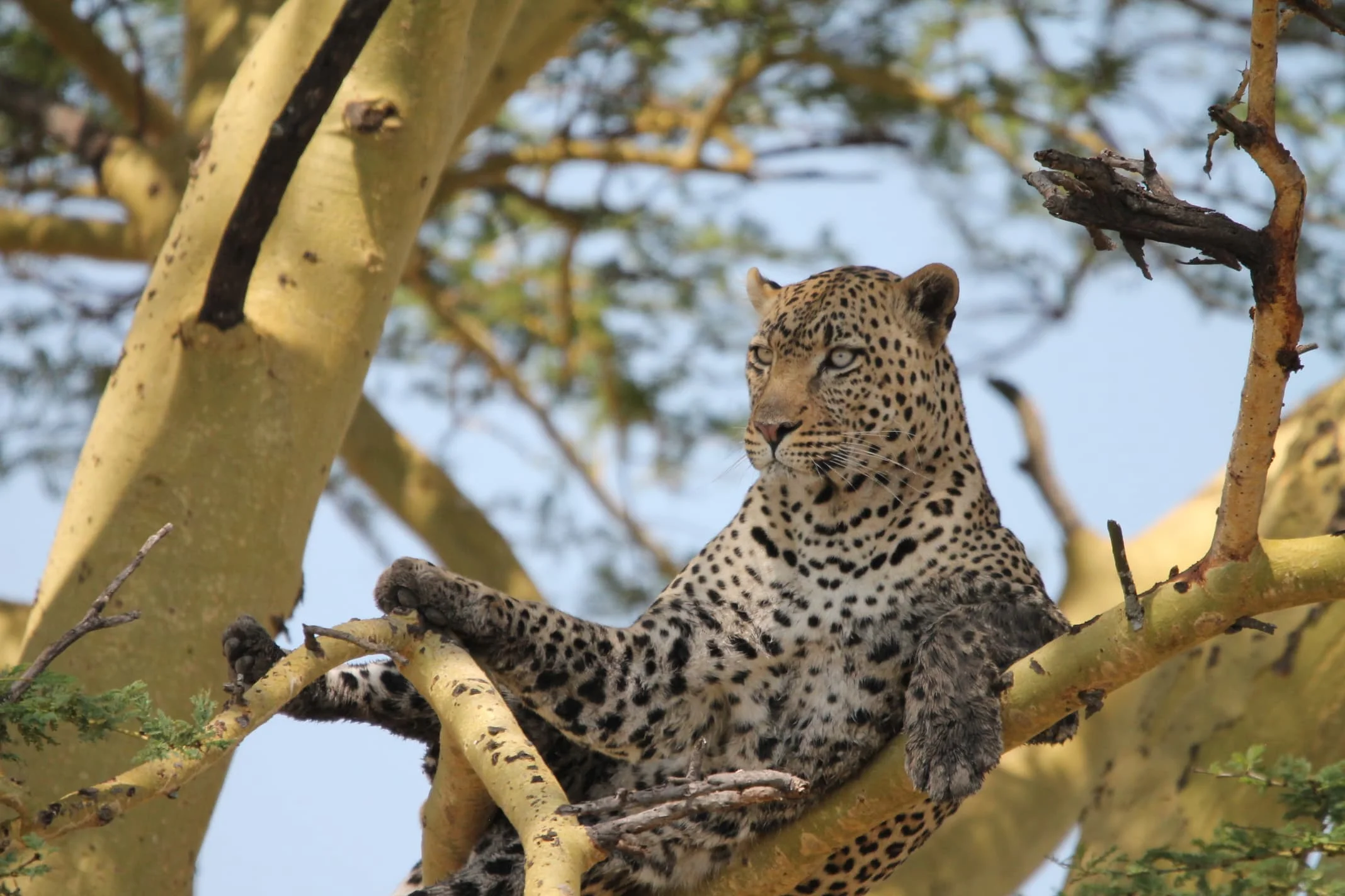 Serengeti National Park