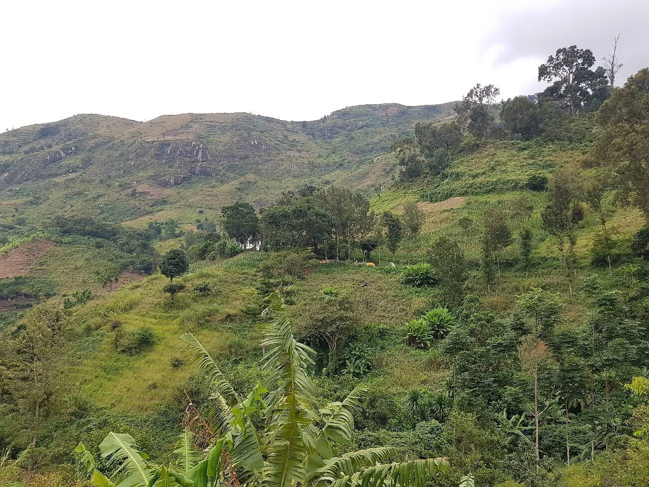 Uluguru Mountains – photo 23