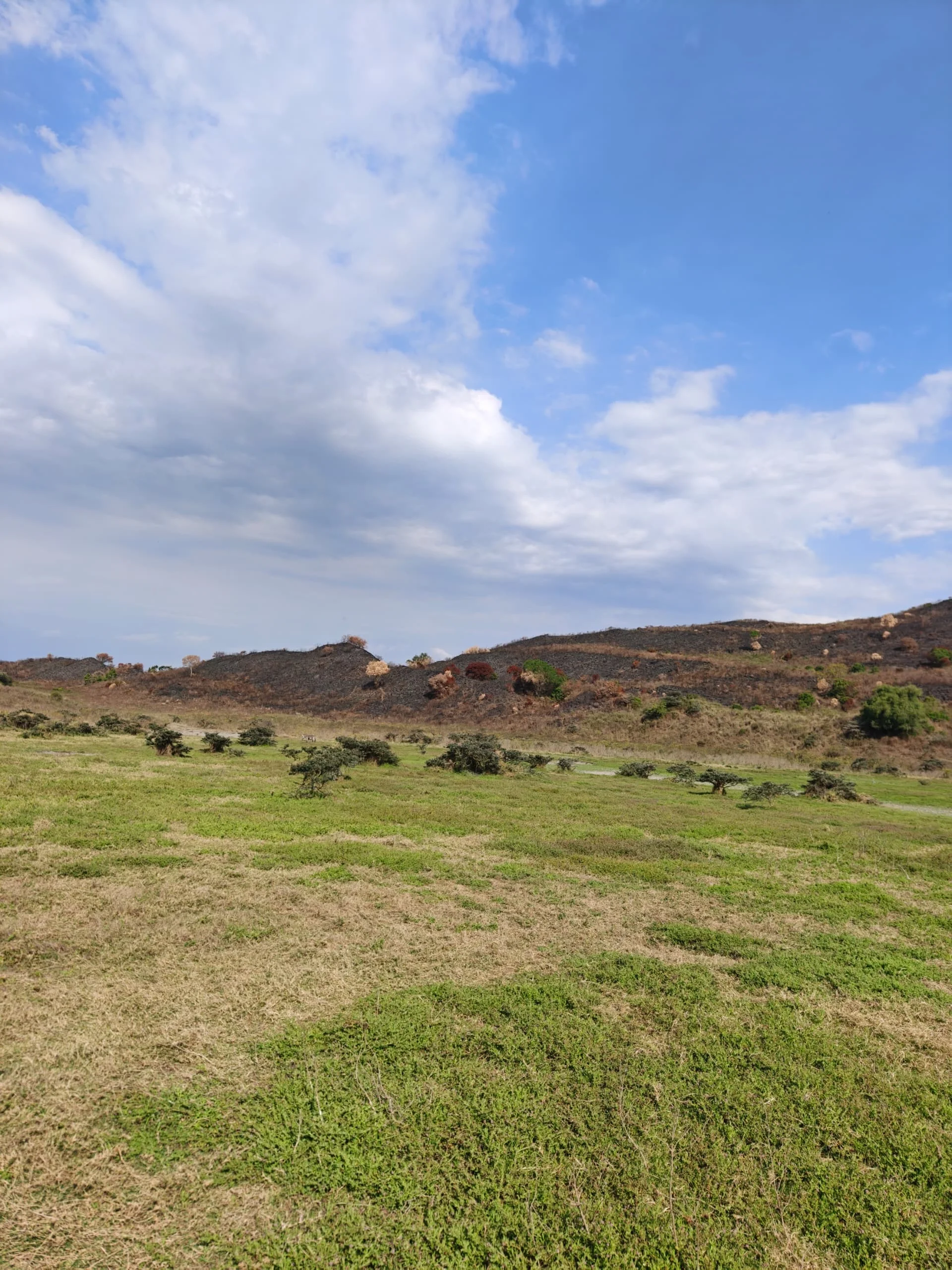 Panoramic view of green grassy fields and volcanic ridge hills under a blue sky in Arusha National Park.