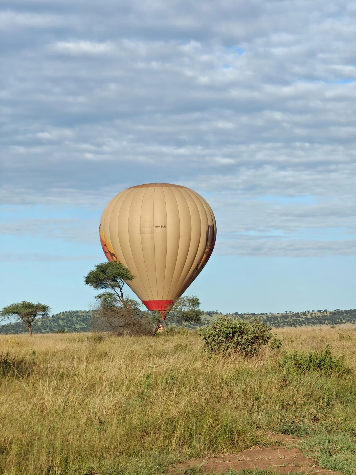 7-Day Luxury Tanzania Safari with Serengeti Balloon Flight – photo 3