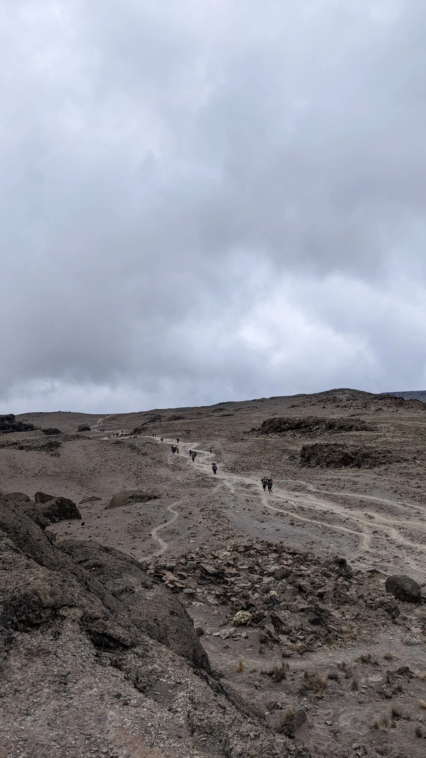 1-Day Mount Kilimanjaro Marangu Route Day Hike | Mandara Hut