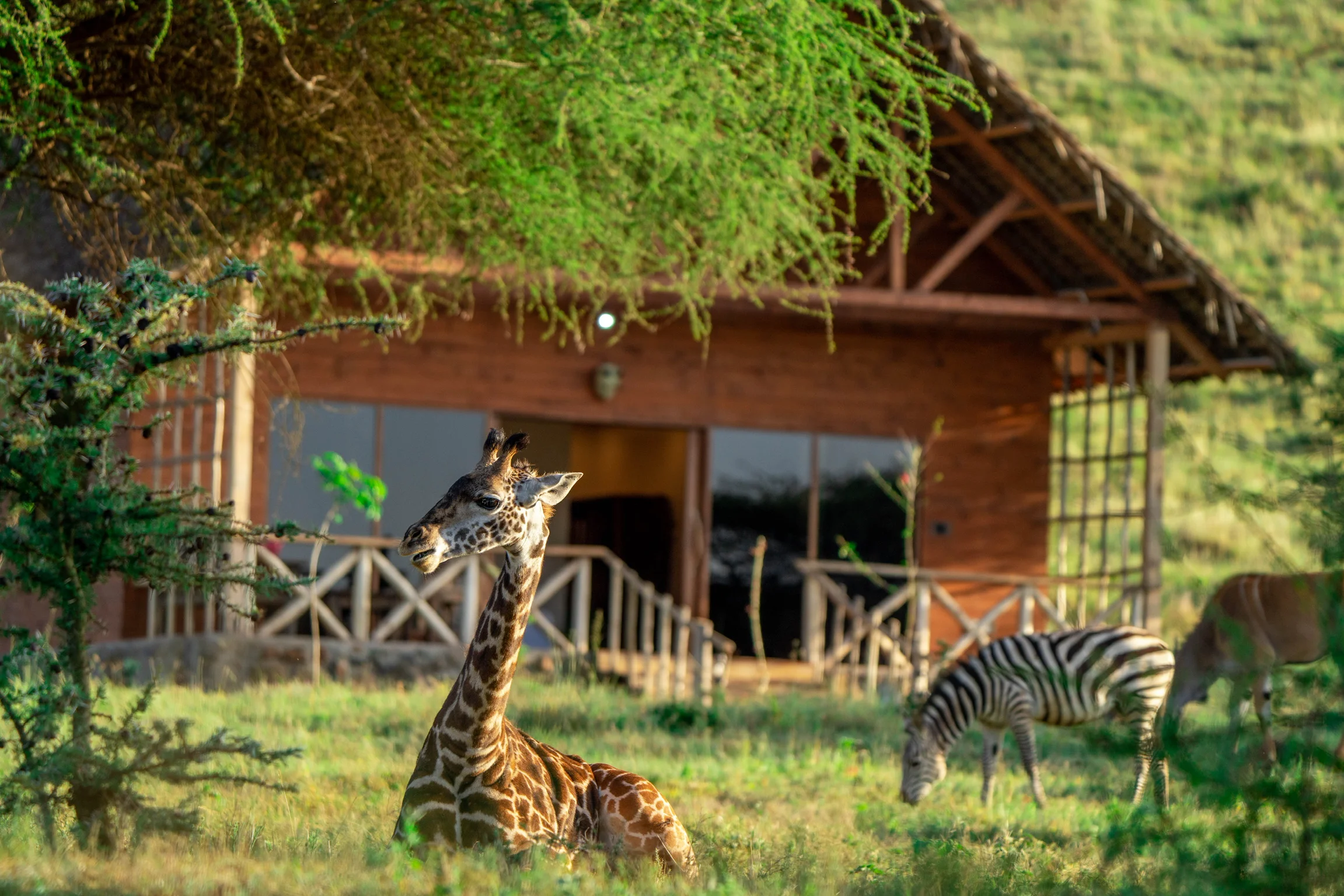 Serval Wildlife & Maasai Cultural Experience – photo 7