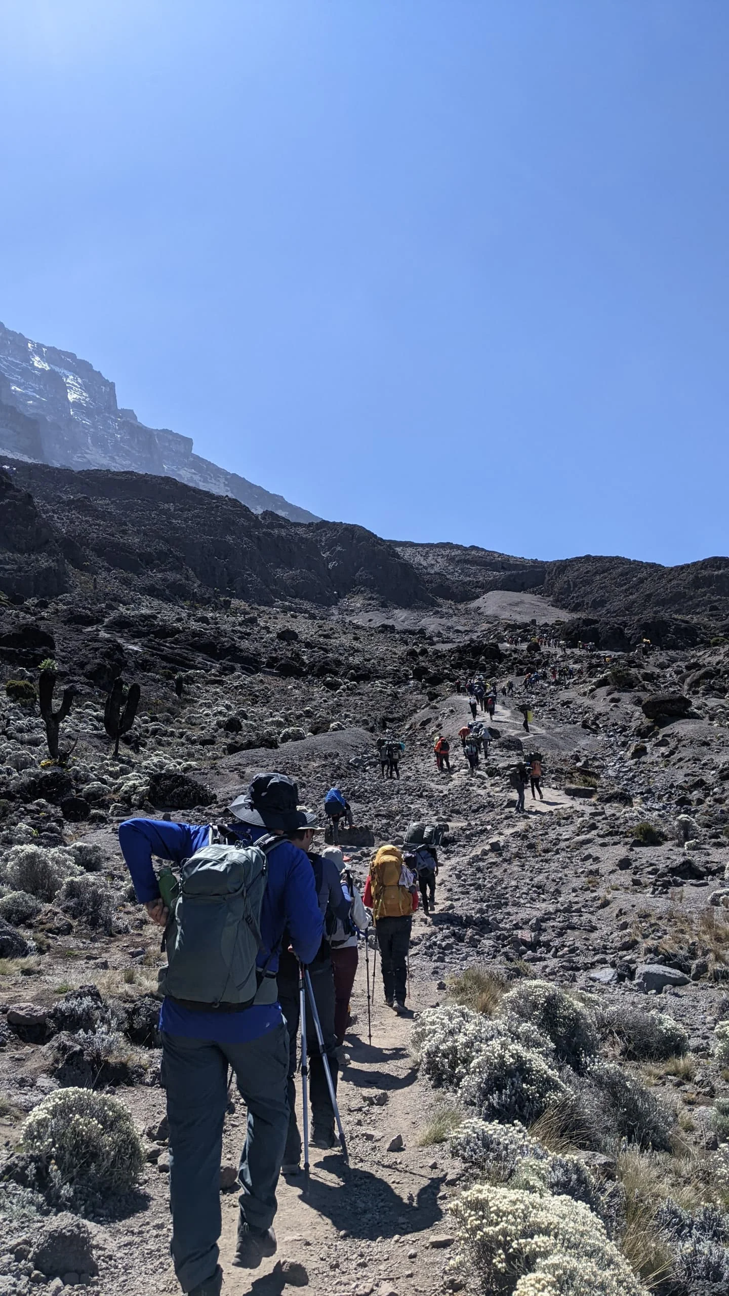 Trekkers hike across rocky alpine terrain on Mount Kilimanjaro's Lemosho Route beneath a clear blue sky in northern Tanzania.