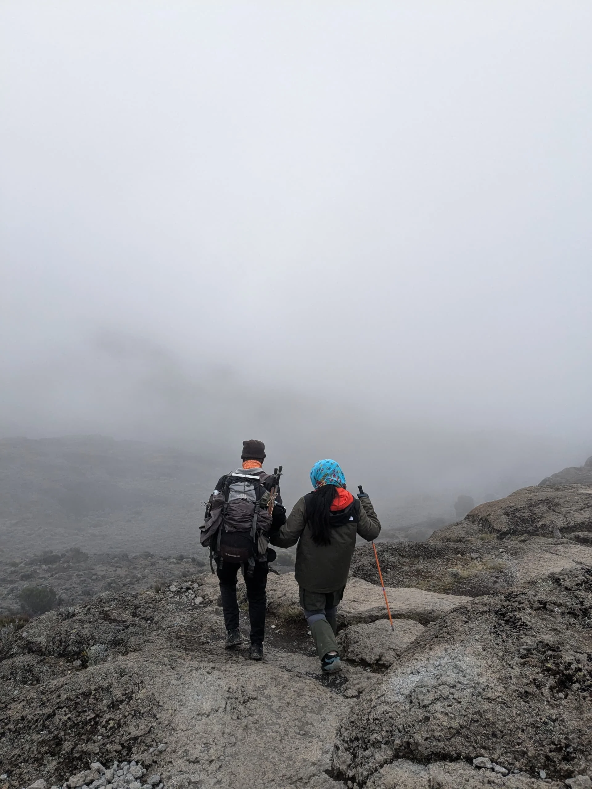 1-Day Mount Kilimanjaro Marangu Route Day Hike | Mandara Hut – photo 7