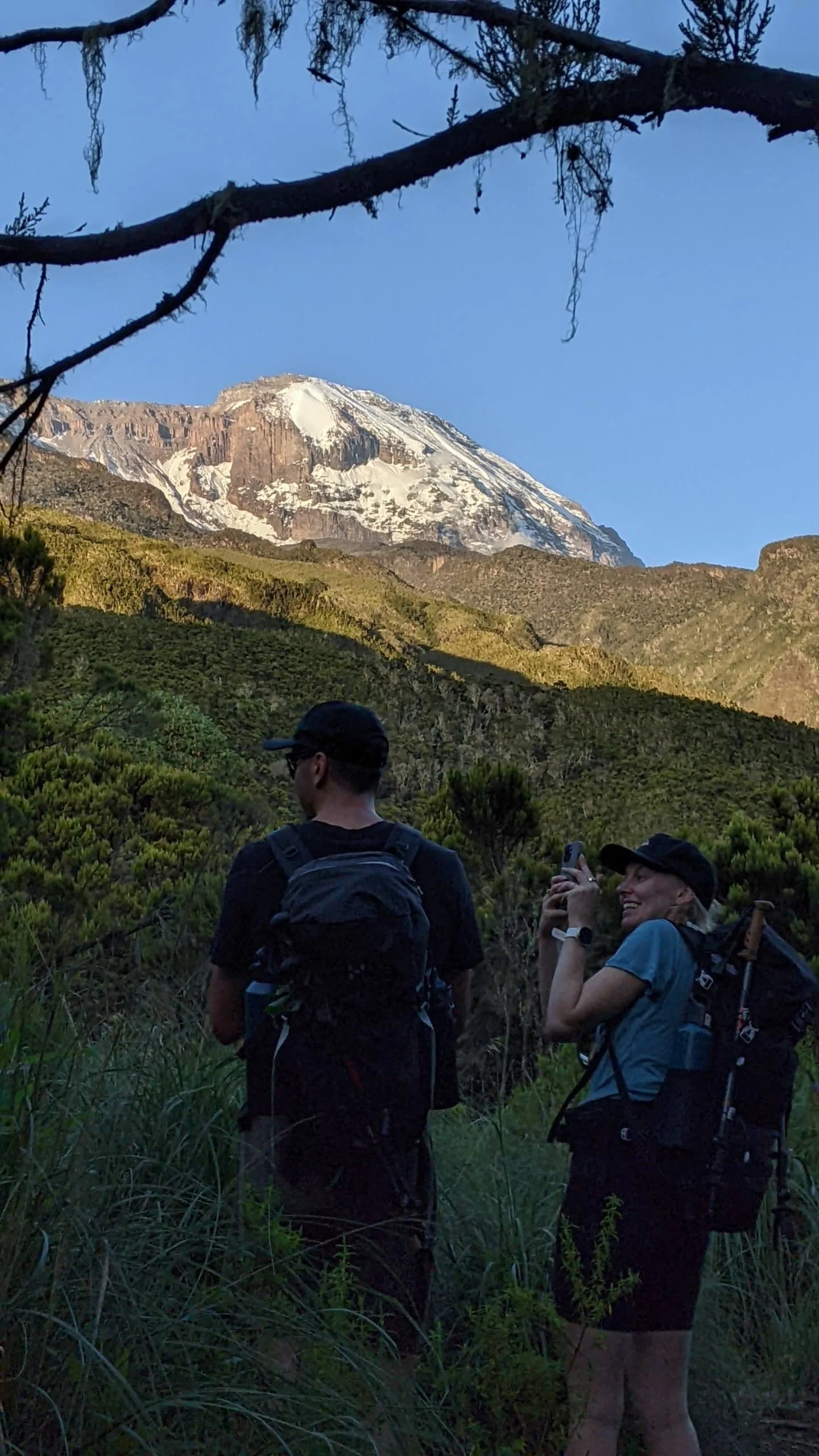 1-Day Mount Kilimanjaro Marangu Route Day Hike | Mandara Hut – photo 9