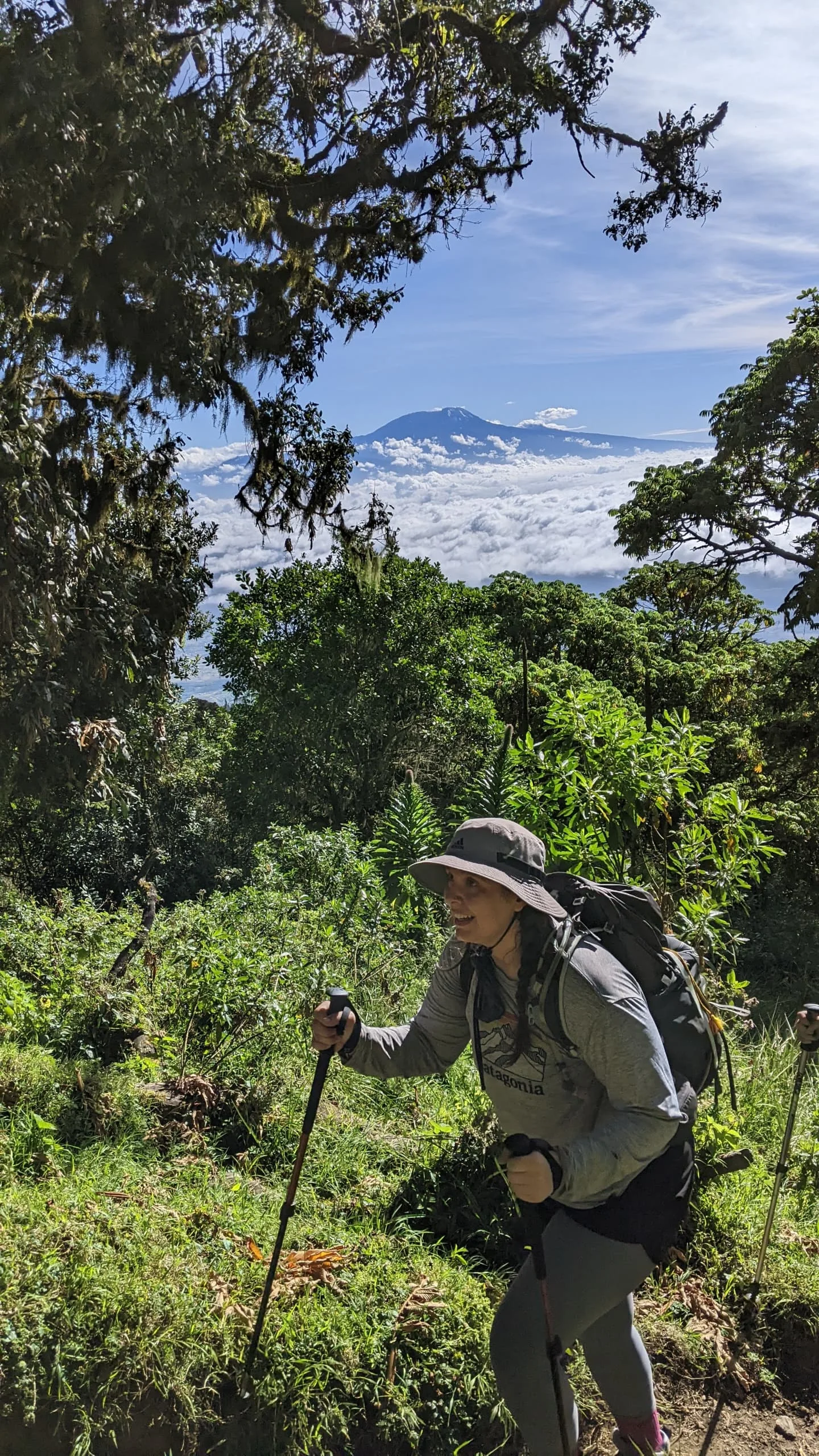 Hiker climbs a lush mountain trail with trekking poles as distant peaks rise above clouds during a scenic Tanzania trek today