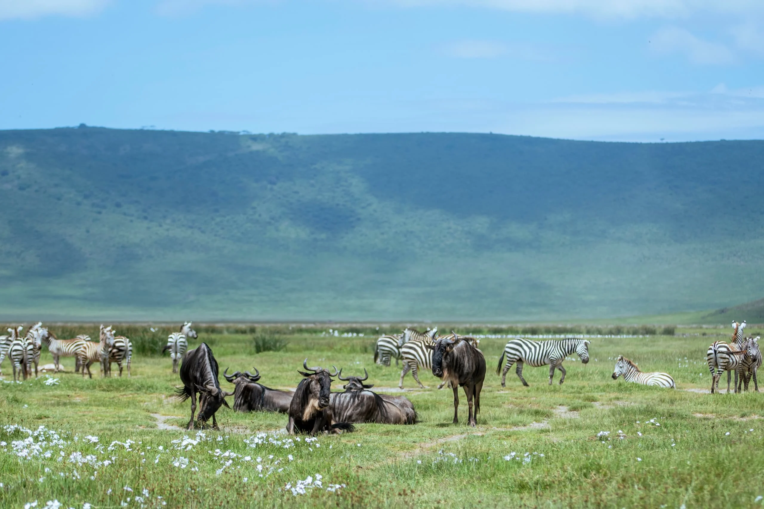 4-Day Private Camping Safari in Serengeti & Ngorongoro