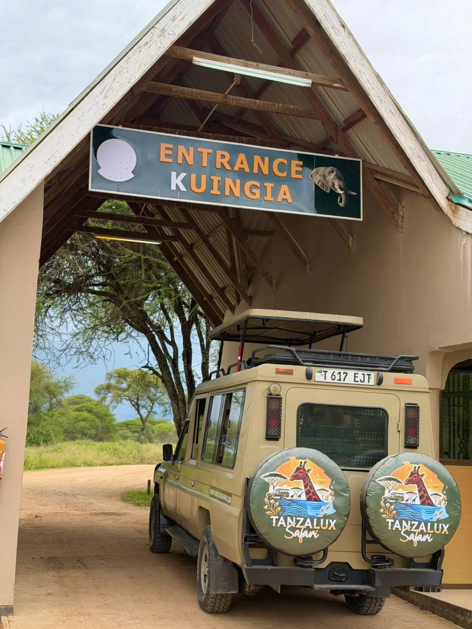 6-Day Private Tanzania Mid-Range Safari: Tarangire, Manyara, Serengeti & Ngorongoro