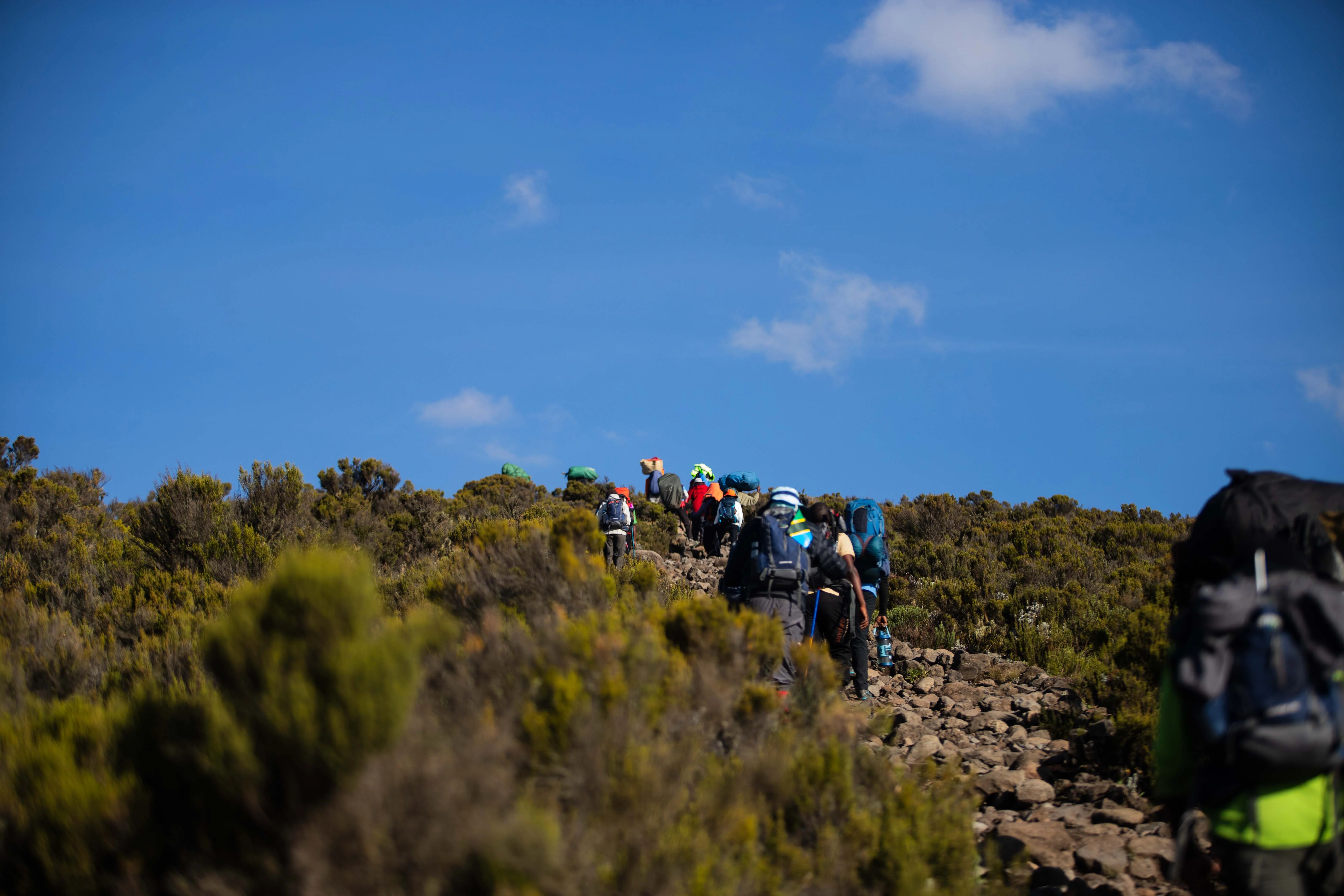7-Day Mount Kilimanjaro Machame Route Climb | Private Trek to Uhuru Peak