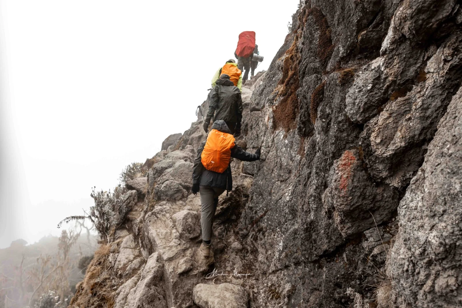Hikers scrambling up the steep rocky Barranco Wall with trekking poles on Mount Kilimanjaro, Tanzania.