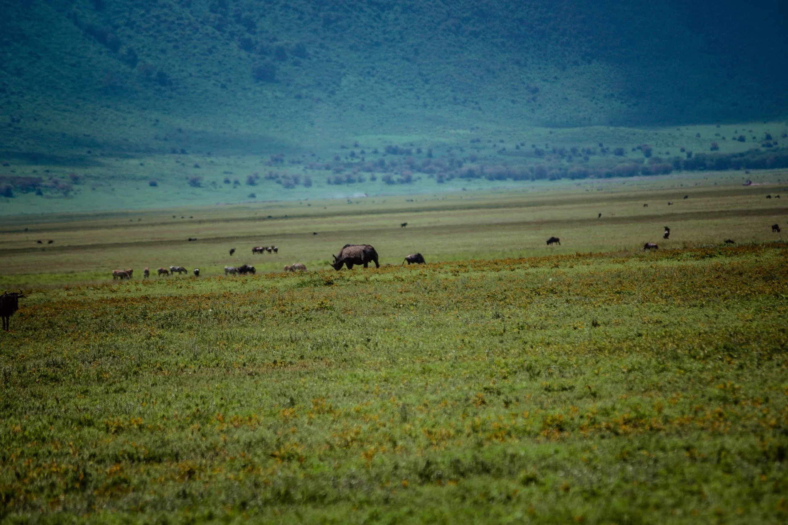 4-Day Private Camping Safari in Serengeti & Ngorongoro