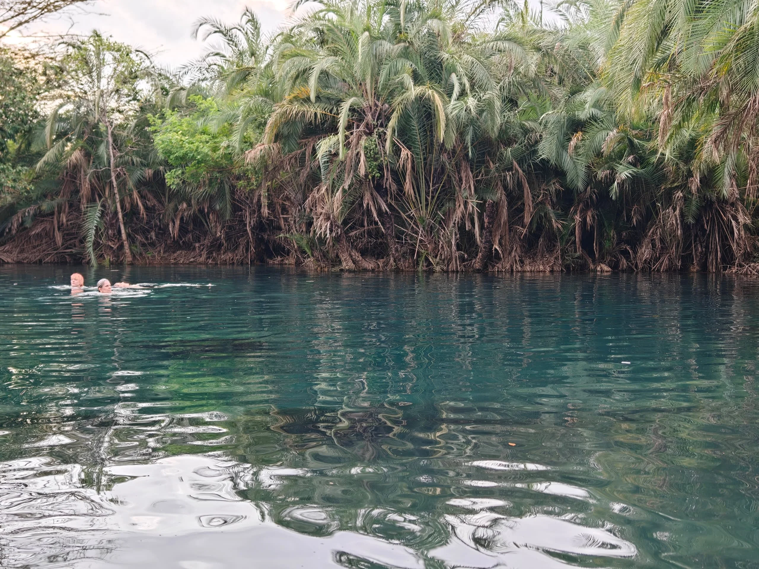 Materuni Waterfalls, Coffee Tour & Chemka Hot Springs – photo 29