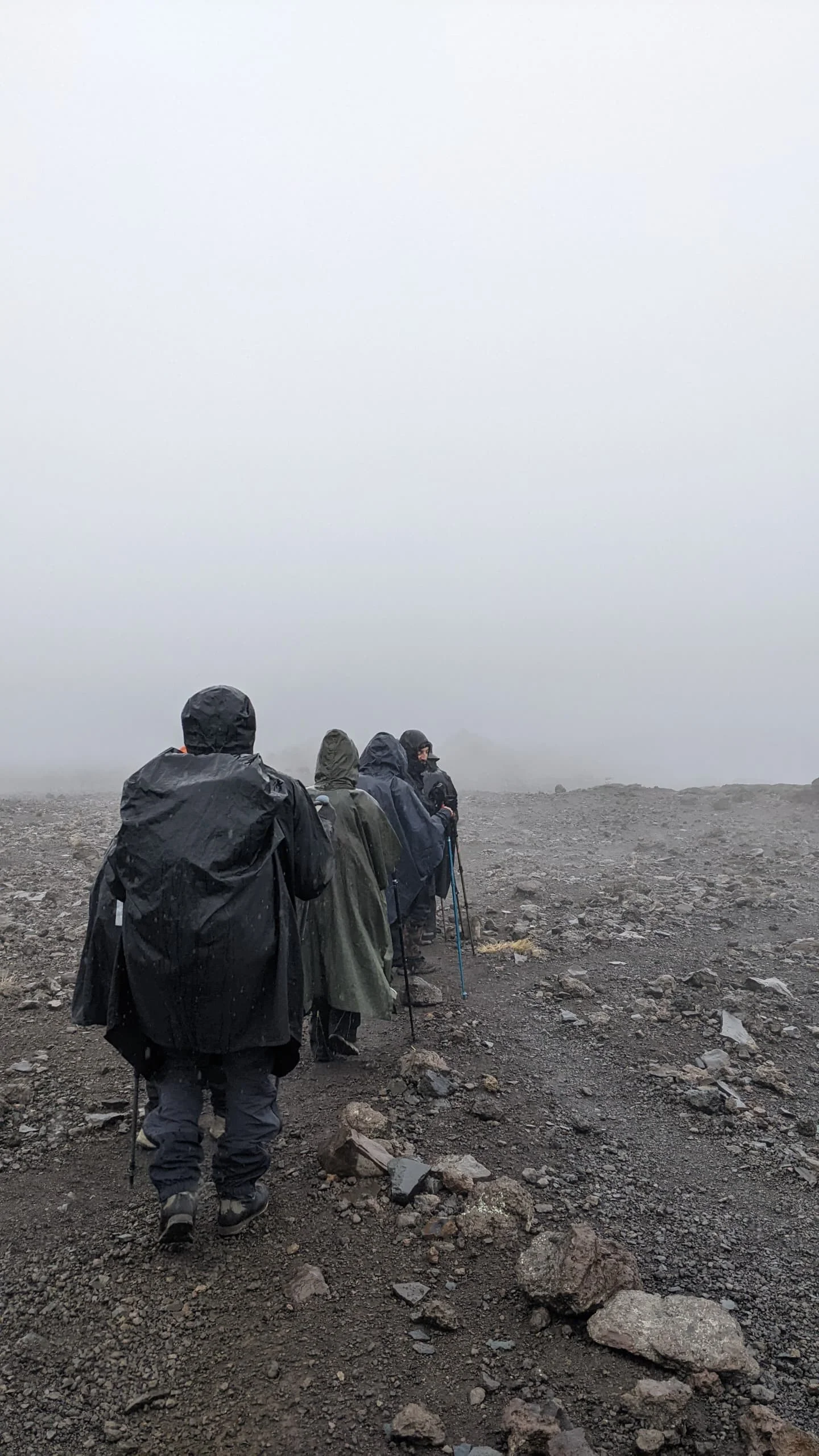 8-Day Mount Kilimanjaro Lemosho Route Climb | Private Trek to Uhuru Peak – photo 3
